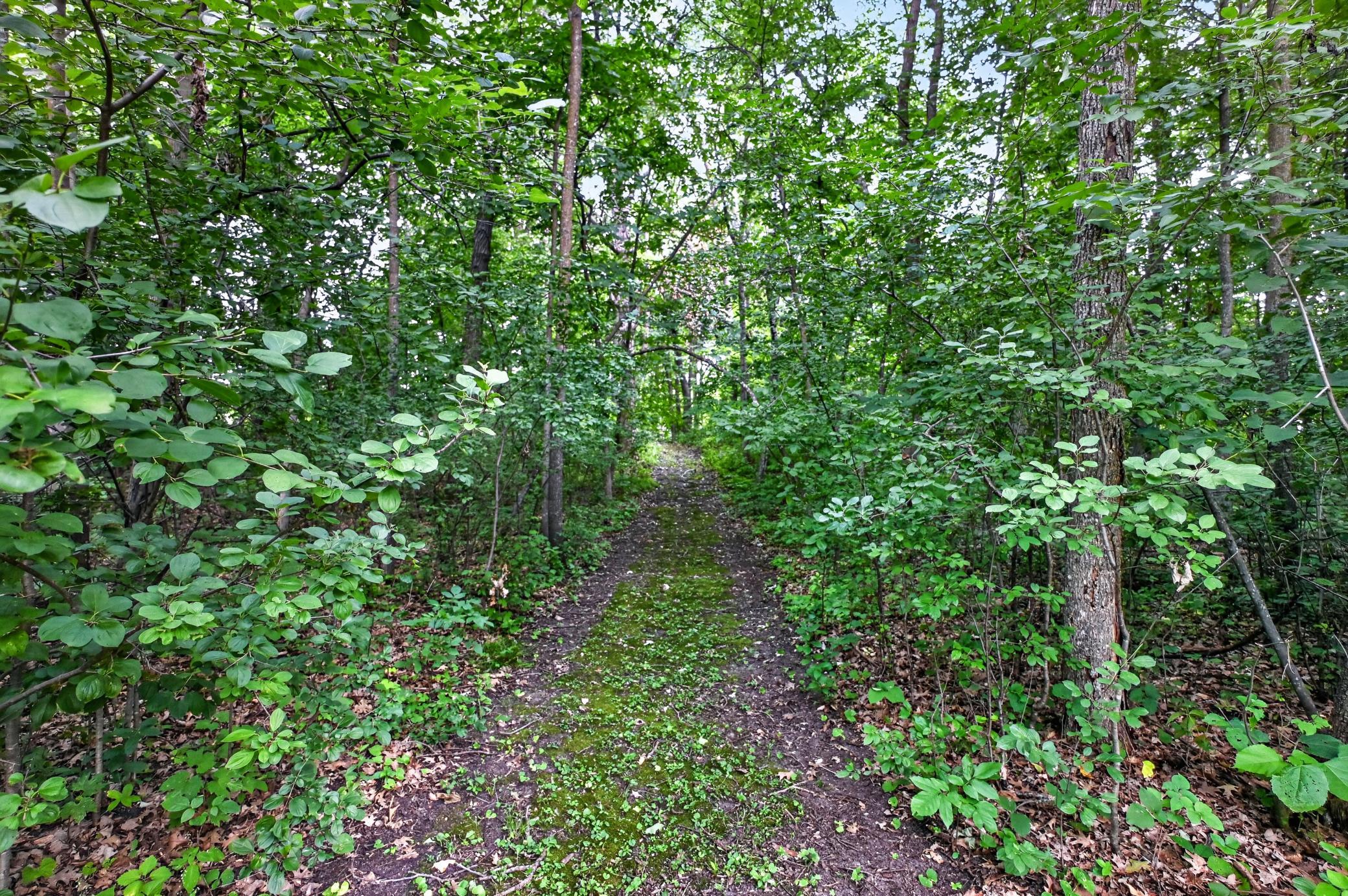 9661 County Road 11 NE, Alexandria MN 56308 - Photo 15 of 23