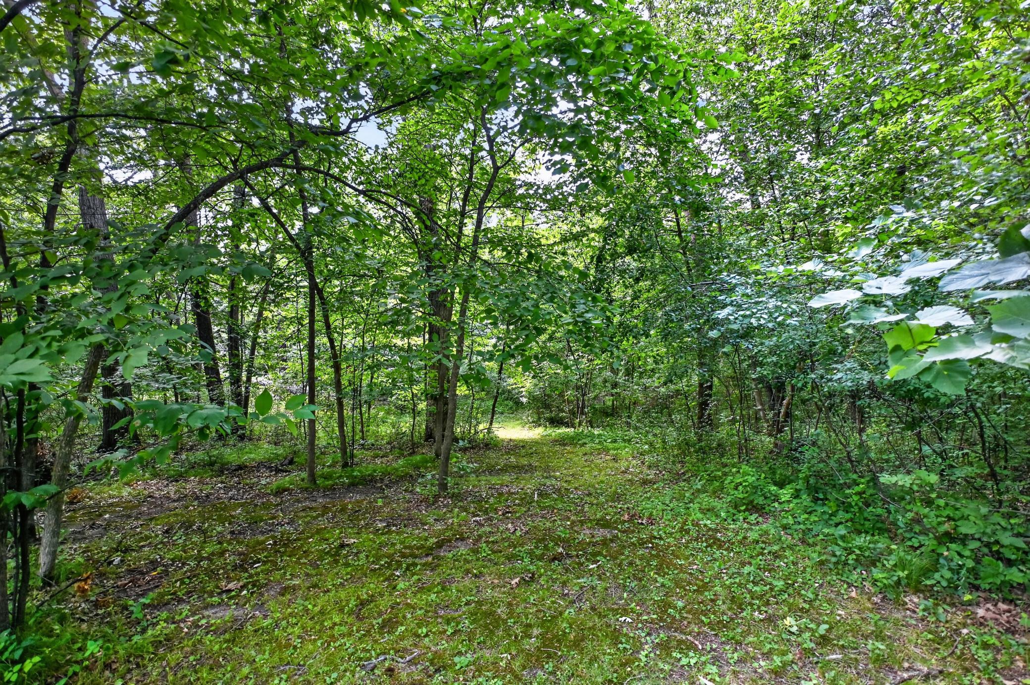9661 County Road 11 NE, Alexandria MN 56308 - Photo 16 of 23