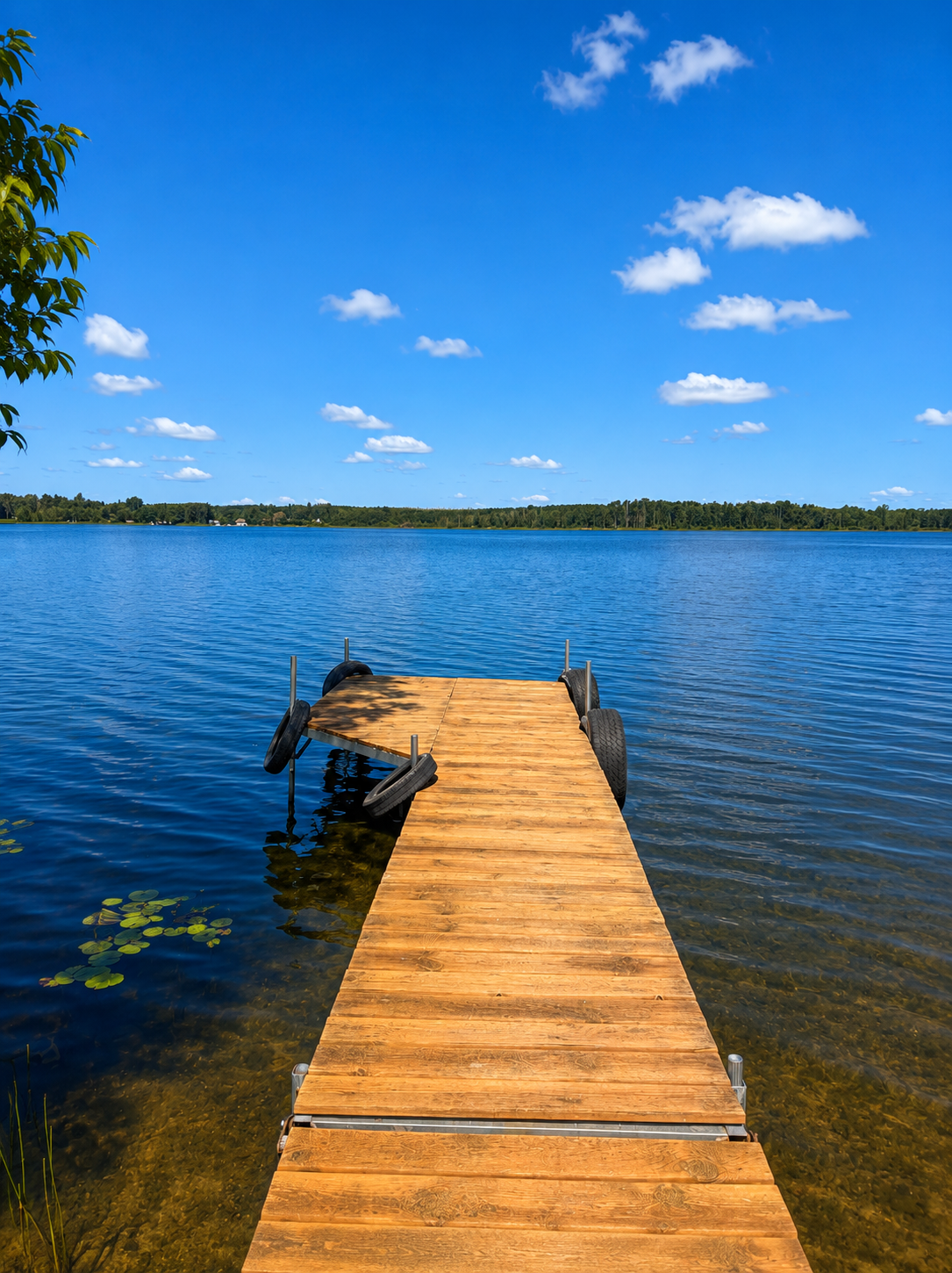1975 single family home for sale at 49410 Center Point Road in Bigfork, MN — 3 bed, 1 bath (photo 12 of 32)