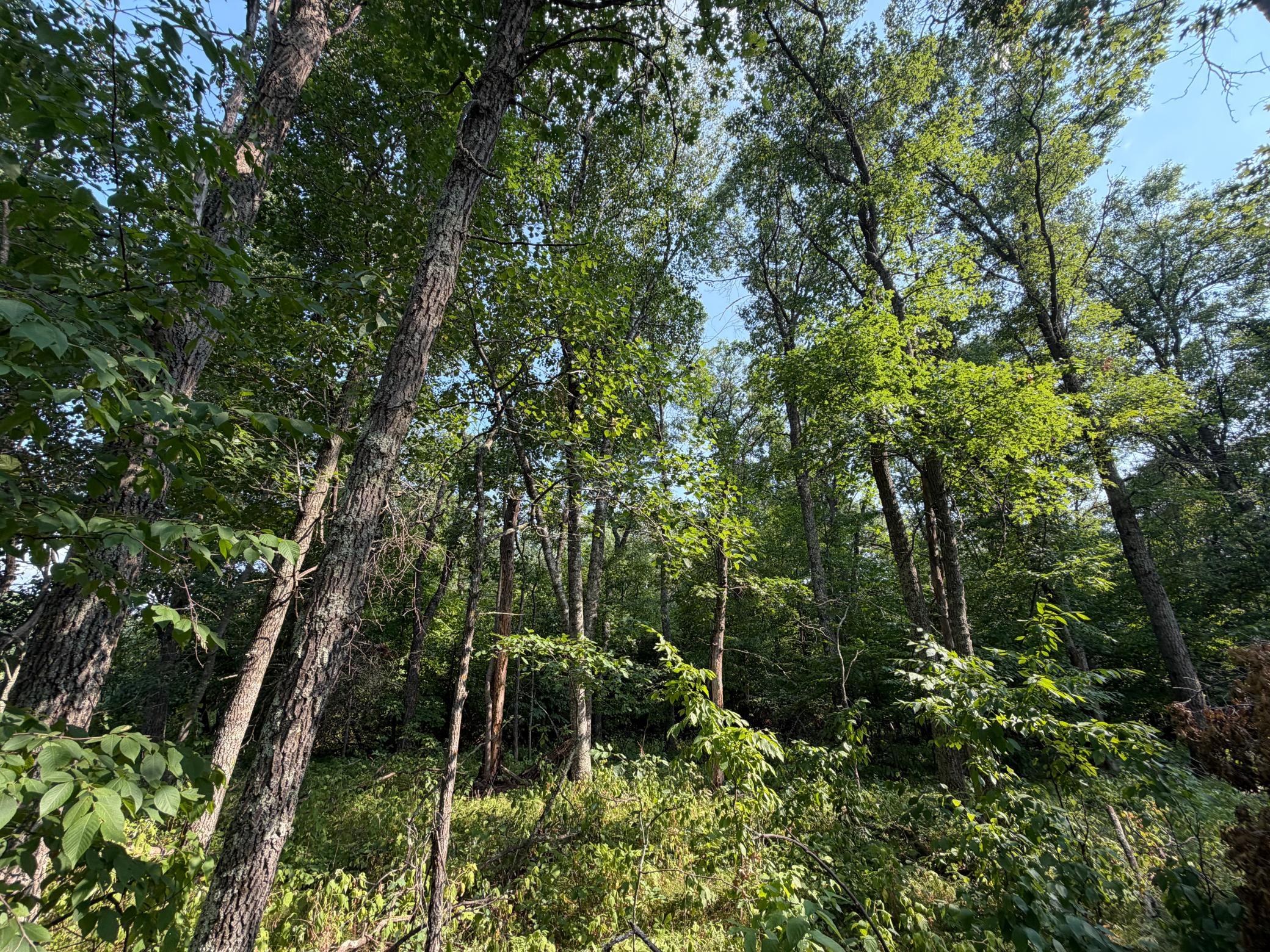 TBD Pawnee Circle, Breezy Point MN 56472 - Photo 2 of 13