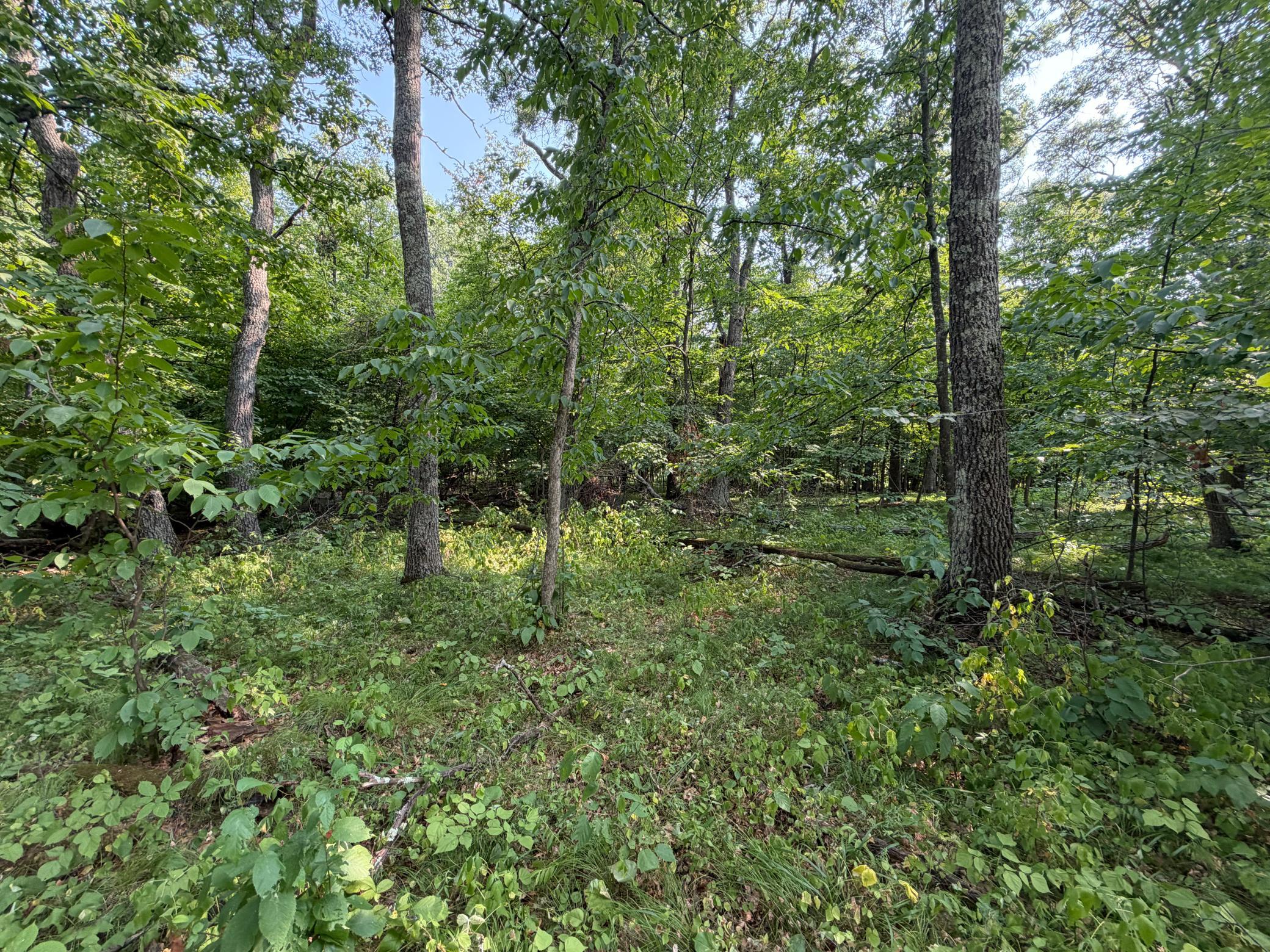 TBD Pawnee Circle, Breezy Point MN 56472 - Photo 3 of 13