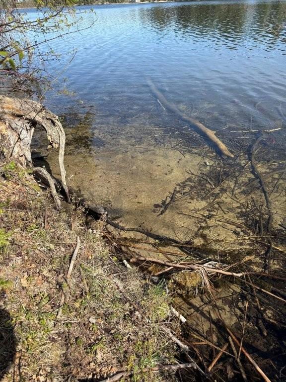 000 Power Dam Road NE, Bemidji MN 56601 - Photo 2 of 13