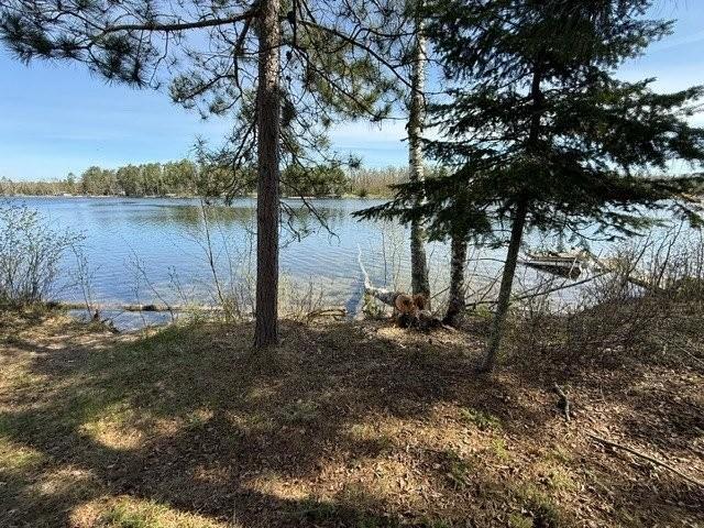000 Power Dam Road NE, Bemidji MN 56601 - Photo 12 of 13