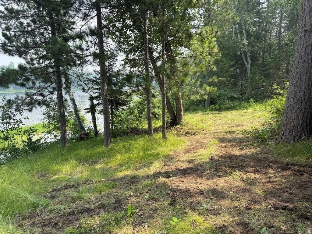 000 Power Dam Road NE, Bemidji MN 56601 - Photo 3 of 13