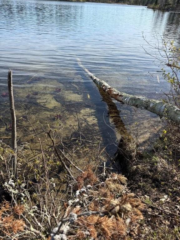 000 Power Dam Road NE, Bemidji MN 56601 - Photo 5 of 13