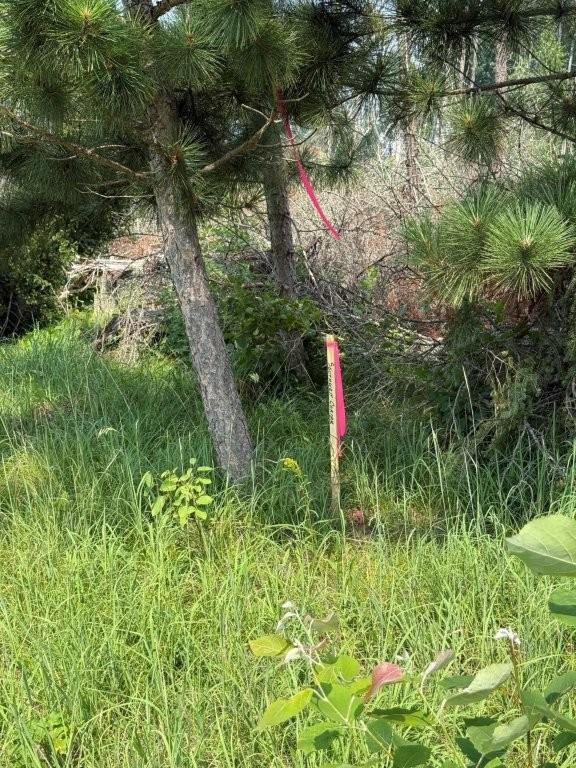000 Power Dam Road NE, Bemidji MN 56601 - Photo 8 of 13