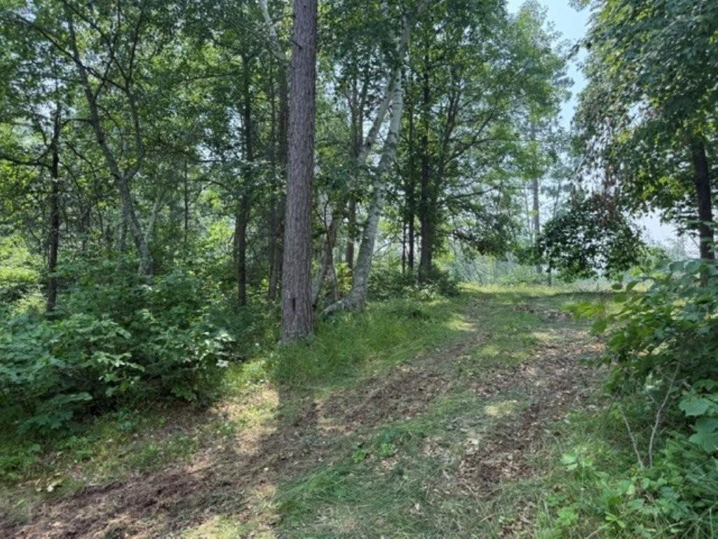 000 Power Dam Road NE, Bemidji MN 56601 - Photo 10 of 13