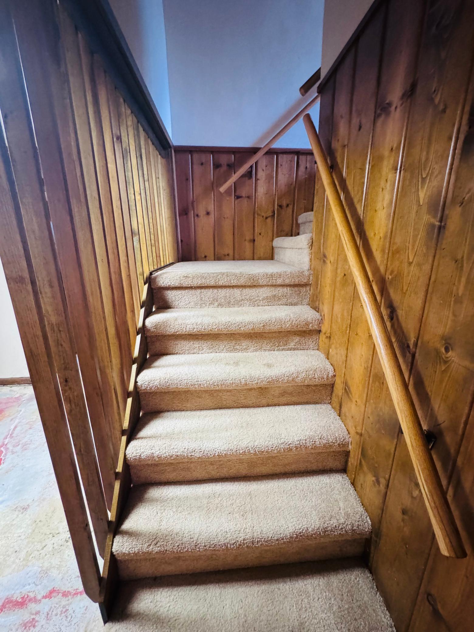 1956 single family home for sale at 508 Kneale Avenue S in Thief River Falls, MN — 4 bed, 2 bath (photo 29 of 52)