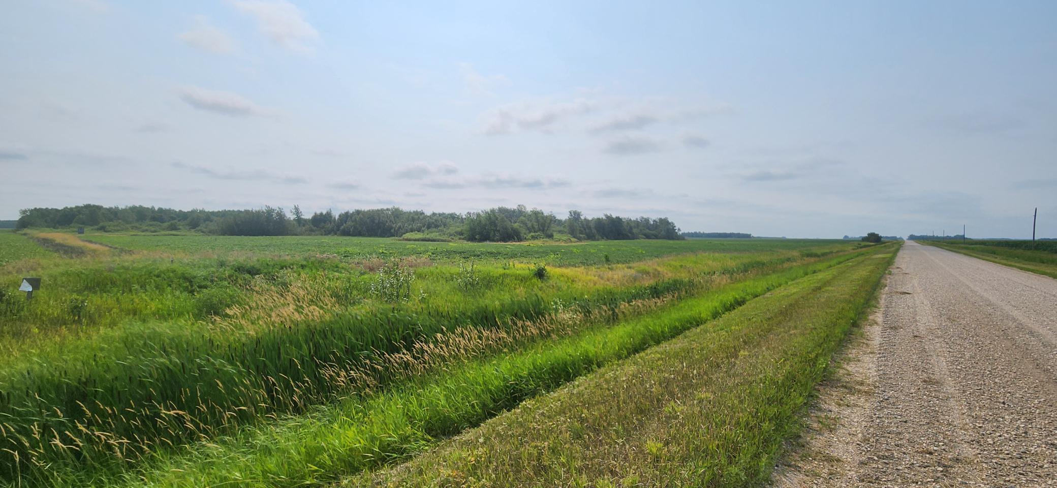 land for sale at TBD 330th Avenue NE in Goodridge, MN (photo 2 of 3)