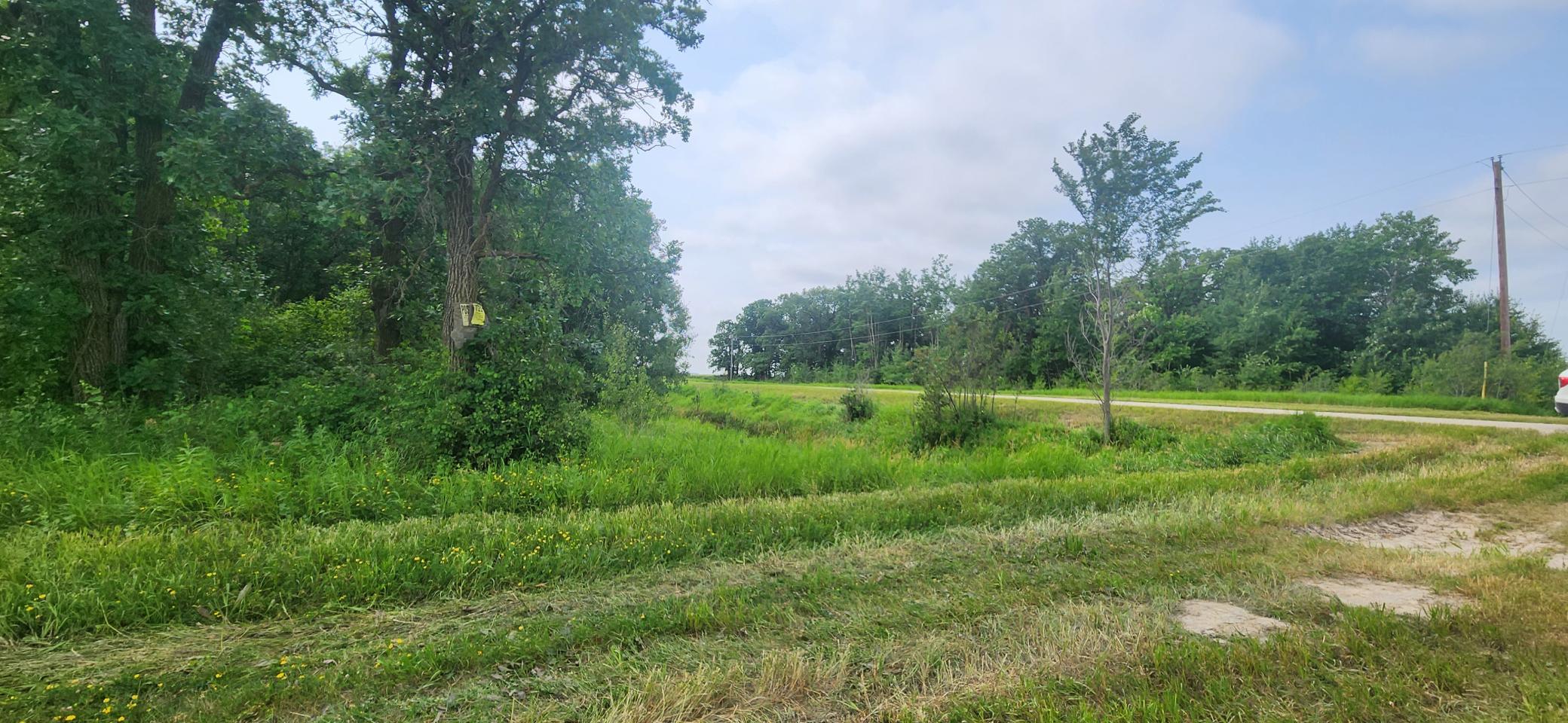 land for sale at TBD 330th Avenue NE in Goodridge, MN (photo 3 of 3)