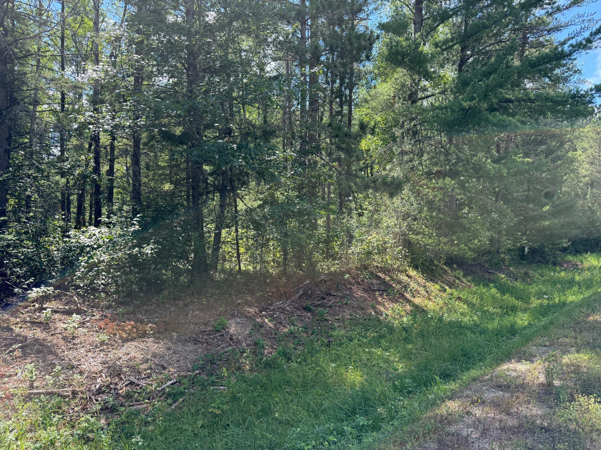 land for sale at 28393 County 93 in Laporte, MN (photo 2 of 12)