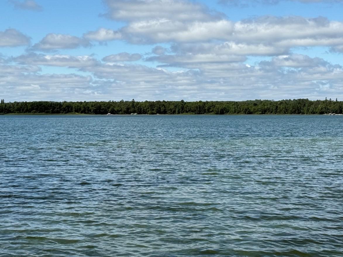 land for sale at 28393 County 93 in Laporte, MN (photo 5 of 12)