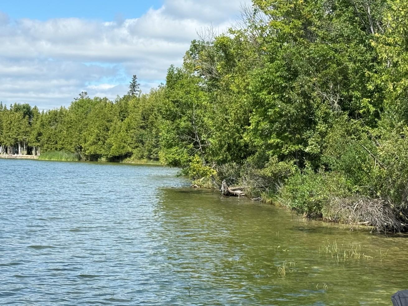 land for sale at 28393 County 93 in Laporte, MN (photo 6 of 12)