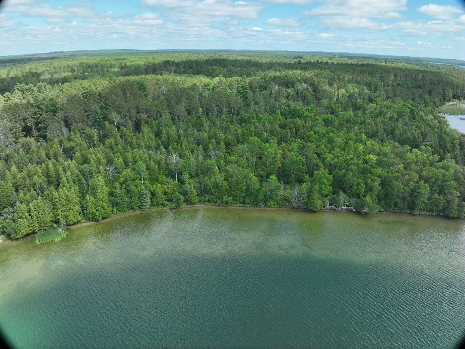 land for sale at 28393 County 93 in Laporte, MN (photo 8 of 12)