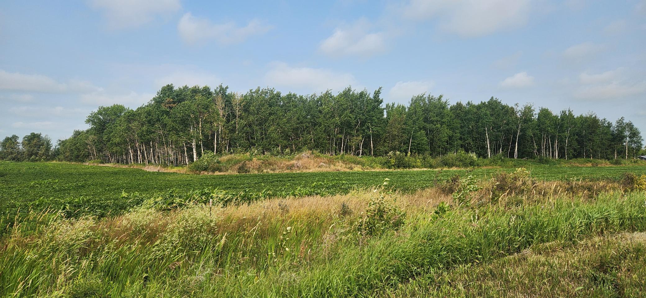 land for sale at TBD 340th Avenue NE in Goodridge, MN (photo 2 of 5)