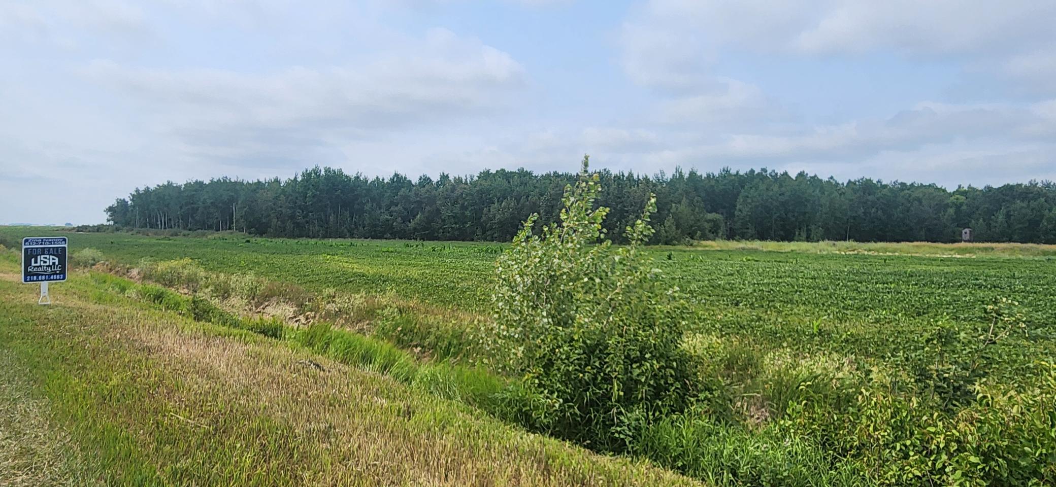 land for sale at TBD 340th Avenue NE in Goodridge, MN (photo 3 of 5)