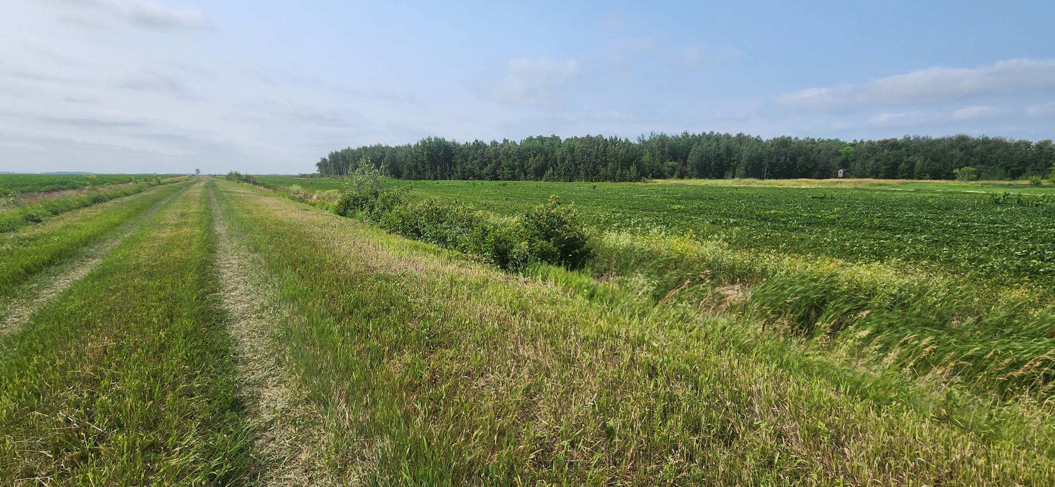land for sale at TBD 340th Avenue NE in Goodridge, MN (photo 4 of 5)