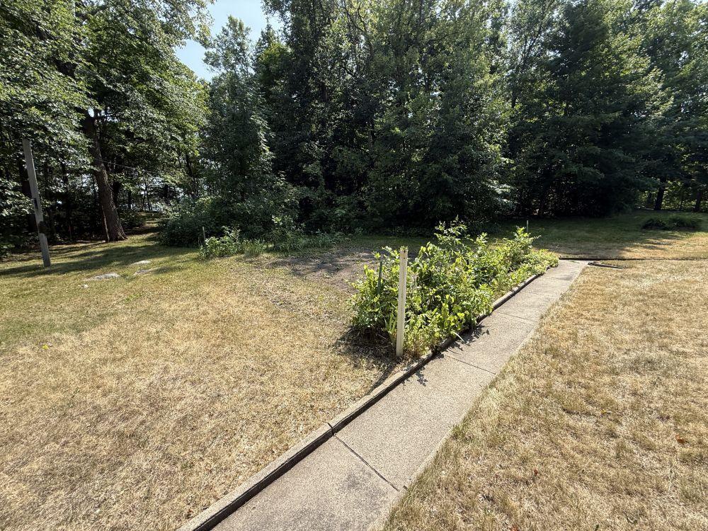 35689 Adams Point Trail, Frazee MN 56544 - Photo 53 of 61