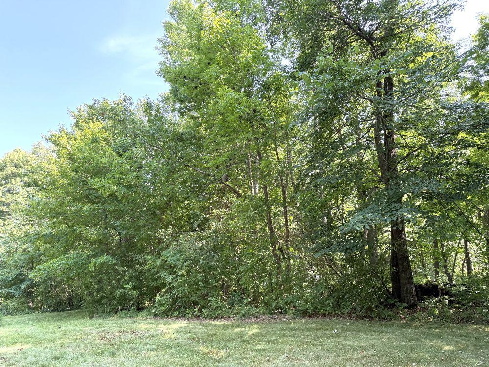 35689 Adams Point Trail, Frazee MN 56544 - Photo 58 of 61