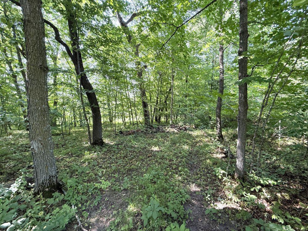 35689 Adams Point Trail, Frazee MN 56544 - Photo 59 of 61