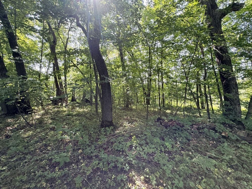 35689 Adams Point Trail, Frazee MN 56544 - Photo 60 of 61