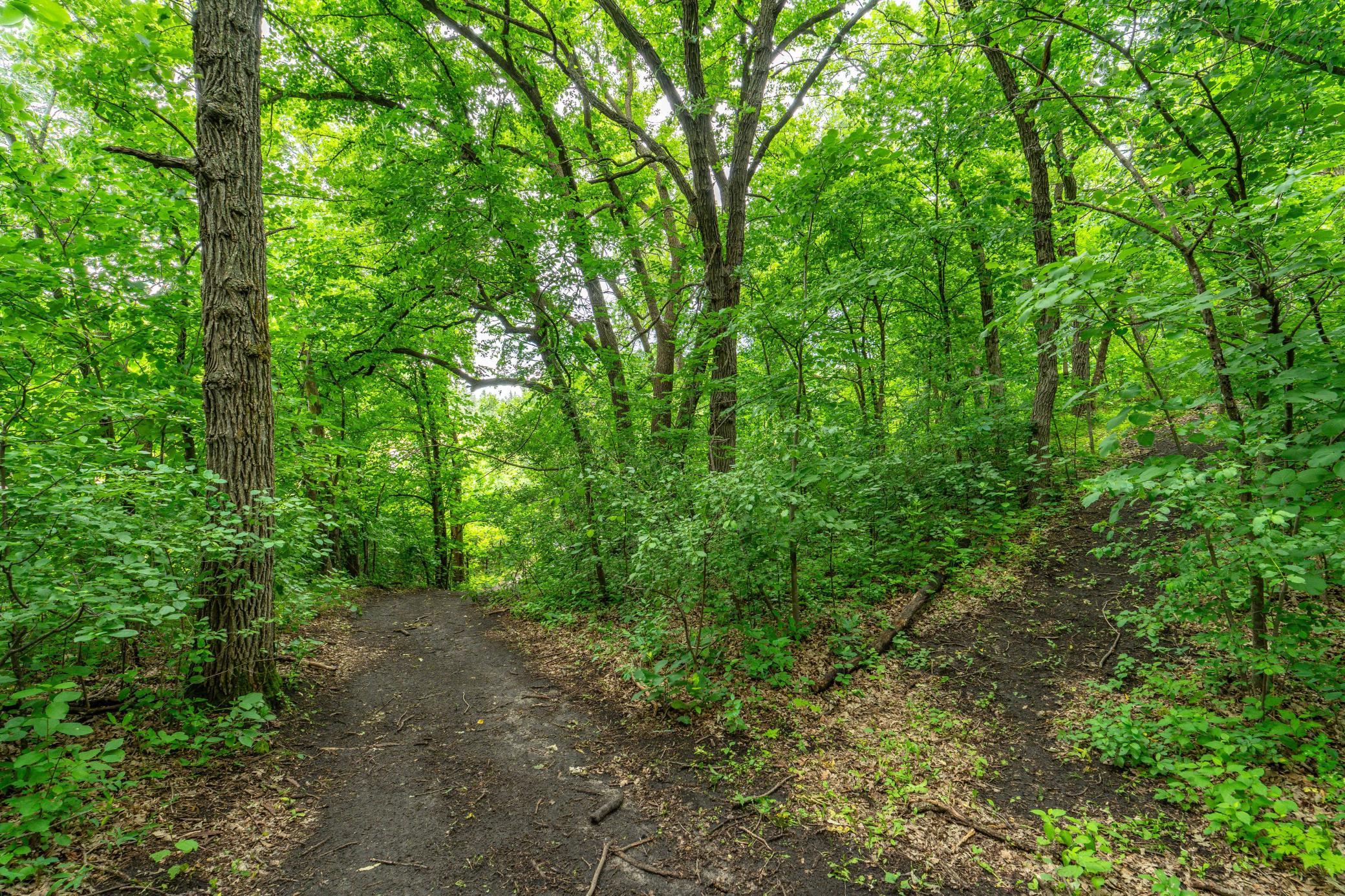 23256 Rus Dic Circle, Fergus Falls MN 56537 - Photo 23 of 79