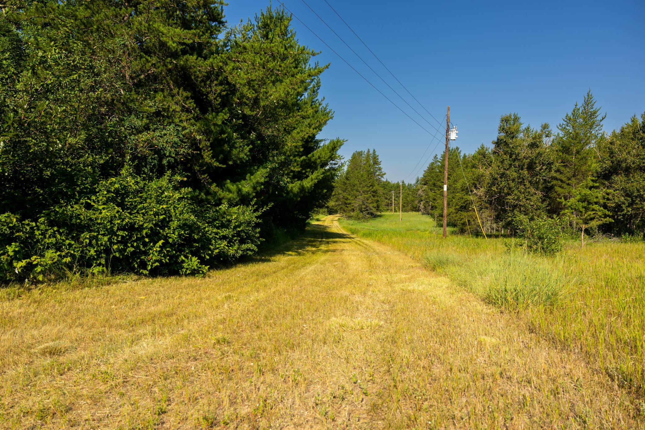 1916 single family home for sale at 39794 259th Avenue in Menahga, MN — 4 bed, 1 bath (photo 43 of 106)