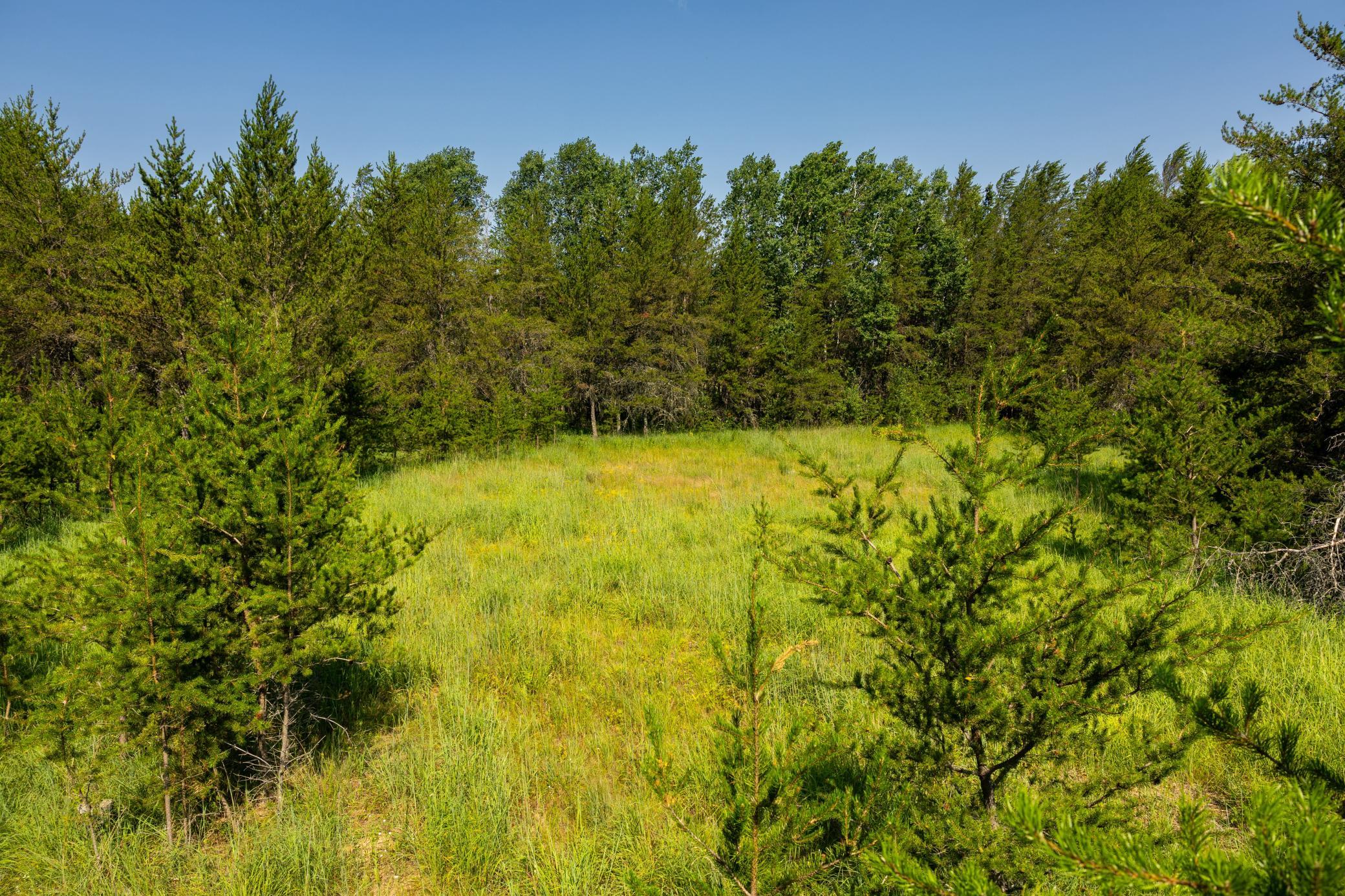 1916 single family home for sale at 39794 259th Avenue in Menahga, MN — 4 bed, 1 bath (photo 65 of 106)