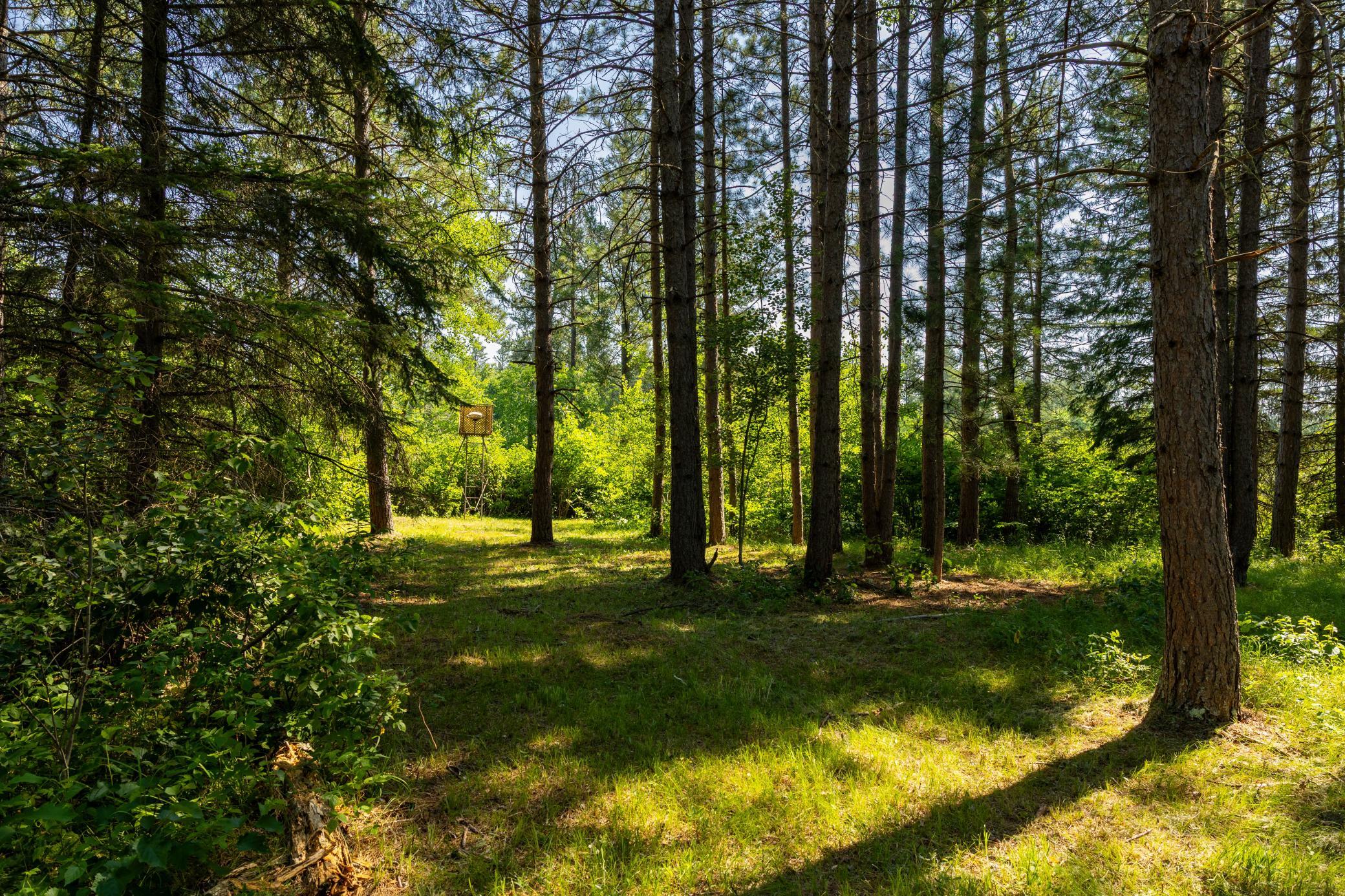 1916 single family home for sale at 39794 259th Avenue in Menahga, MN — 4 bed, 1 bath (photo 69 of 106)