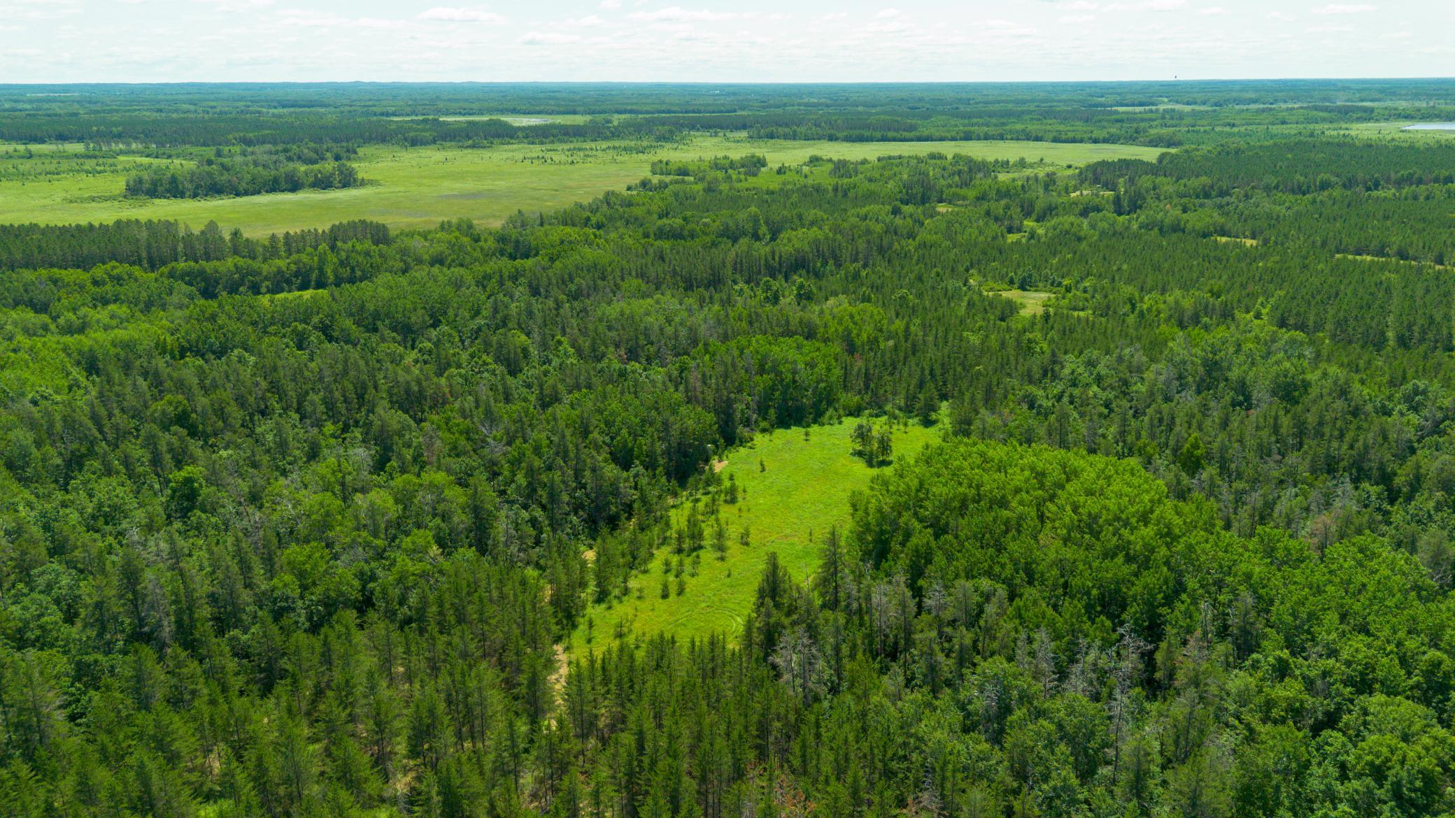 Tract 3 - TBD 259th Ave, Menahga MN 56464 - Photo 11 of 30