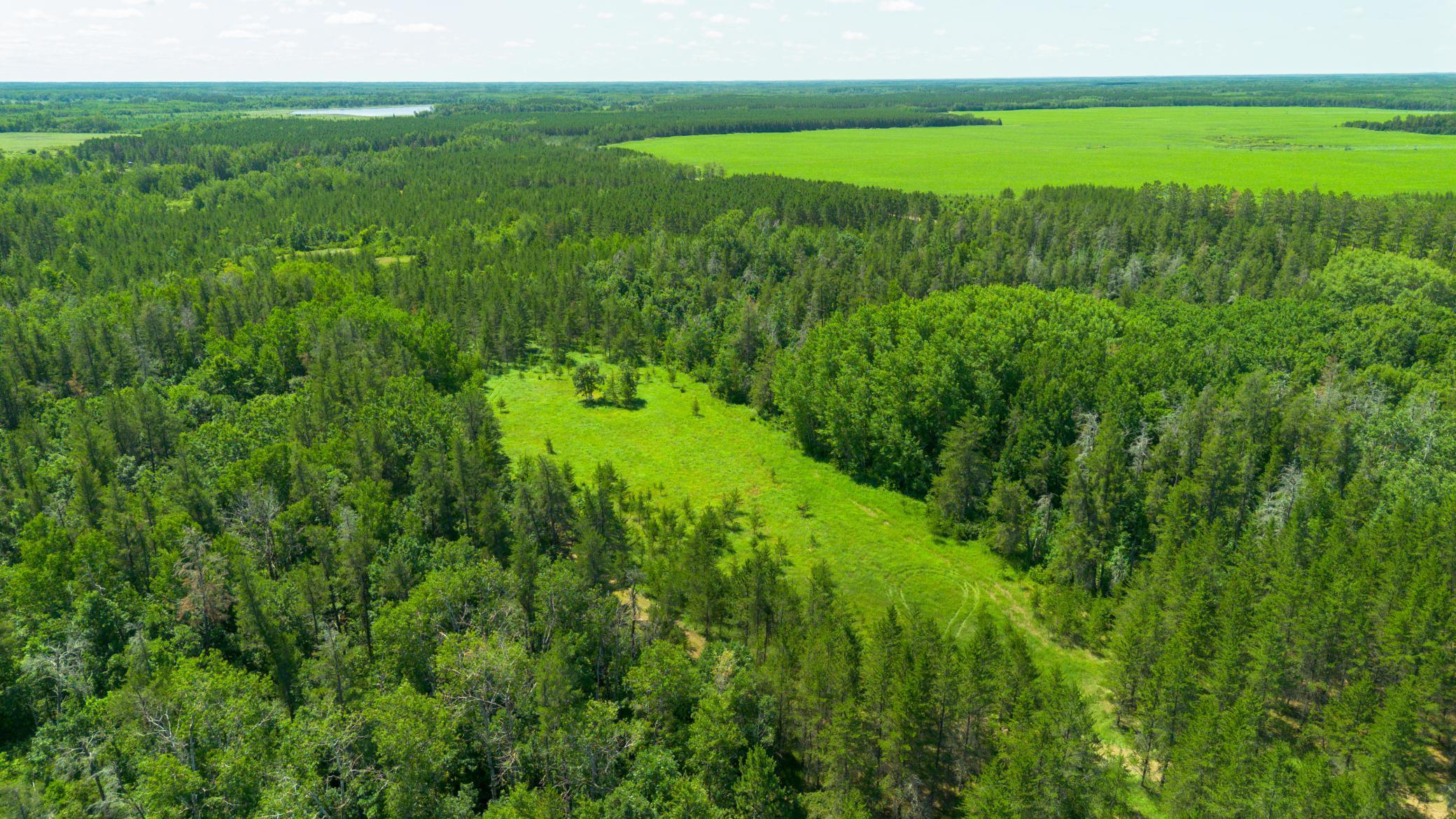 Tract 3 - TBD 259th Ave, Menahga MN 56464 - Photo 13 of 30