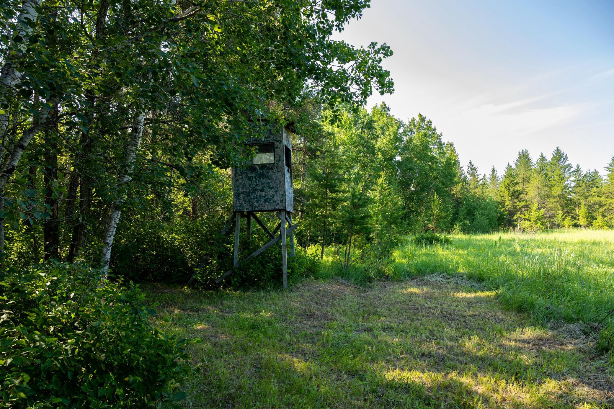 Tract 3 - TBD 259th Ave, Menahga MN 56464 - Photo 16 of 30