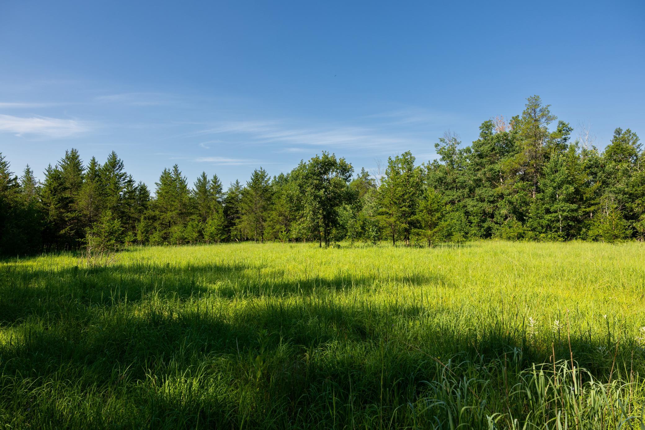 Tract 3 - TBD 259th Ave, Menahga MN 56464 - Photo 17 of 30