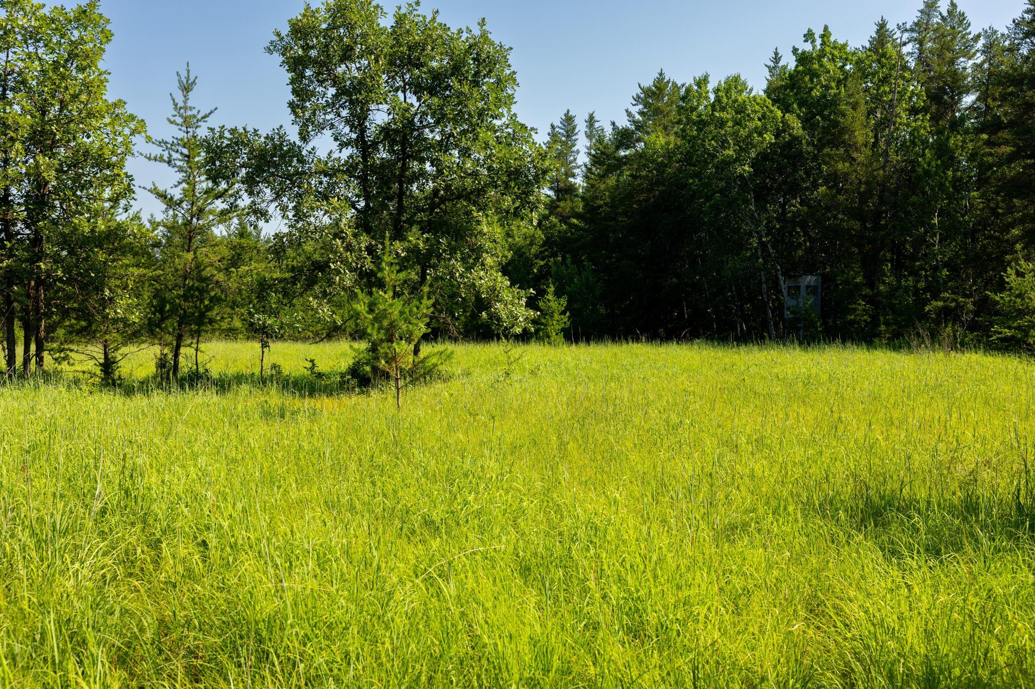 Tract 3 - TBD 259th Ave, Menahga MN 56464 - Photo 21 of 30