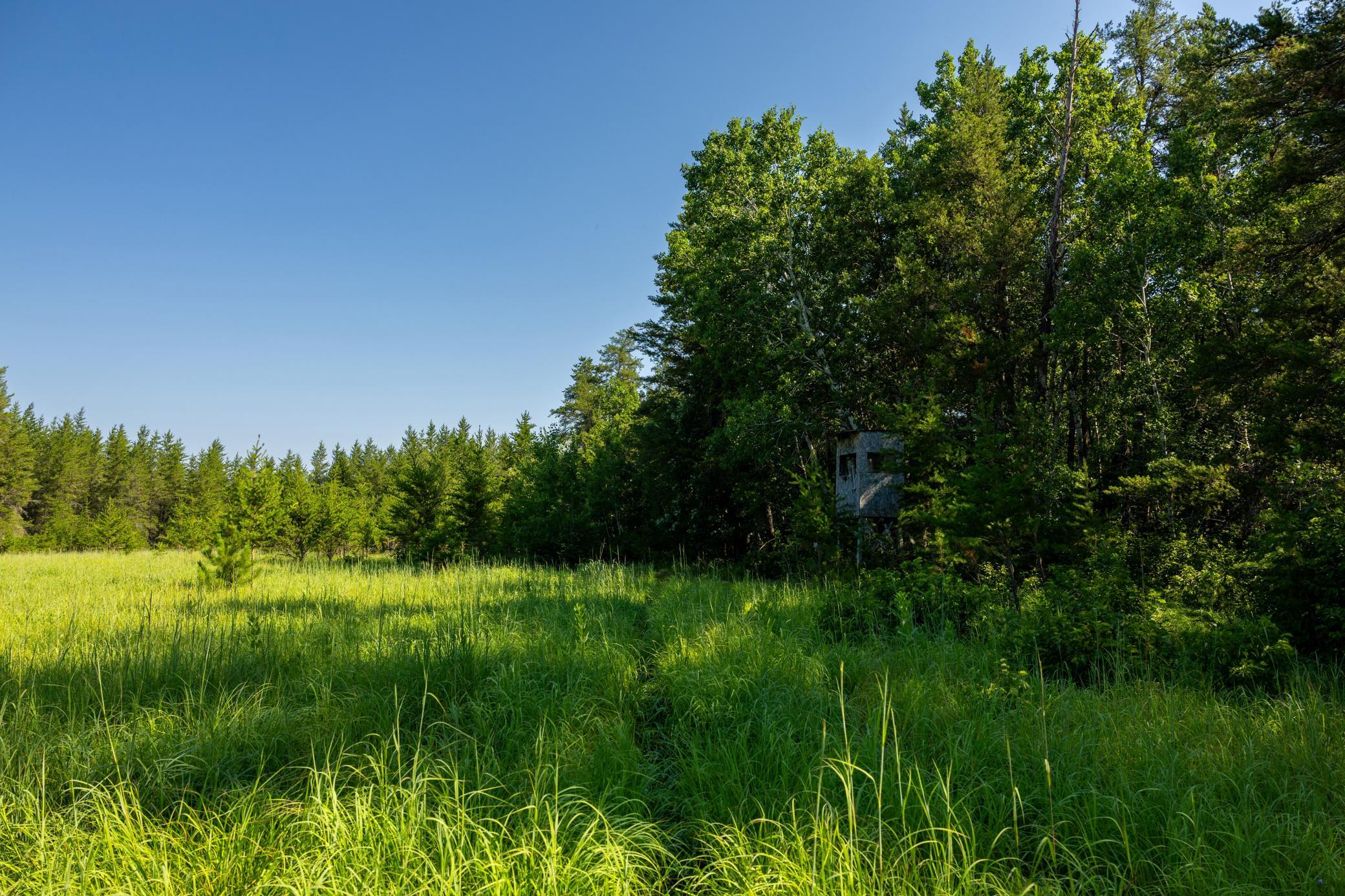 Tract 3 - TBD 259th Ave, Menahga MN 56464 - Photo 22 of 30