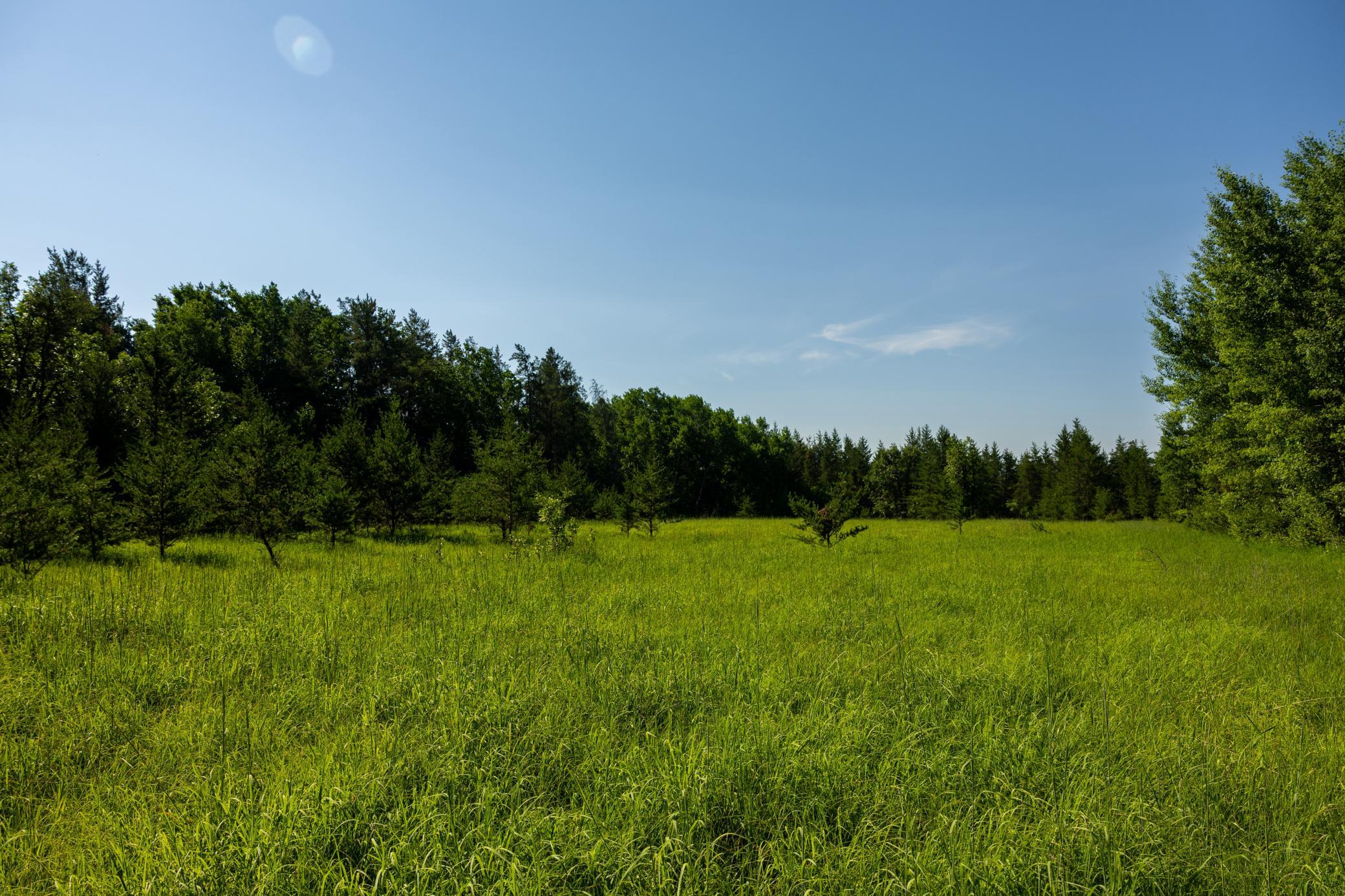 Tract 3 - TBD 259th Ave, Menahga MN 56464 - Photo 23 of 30