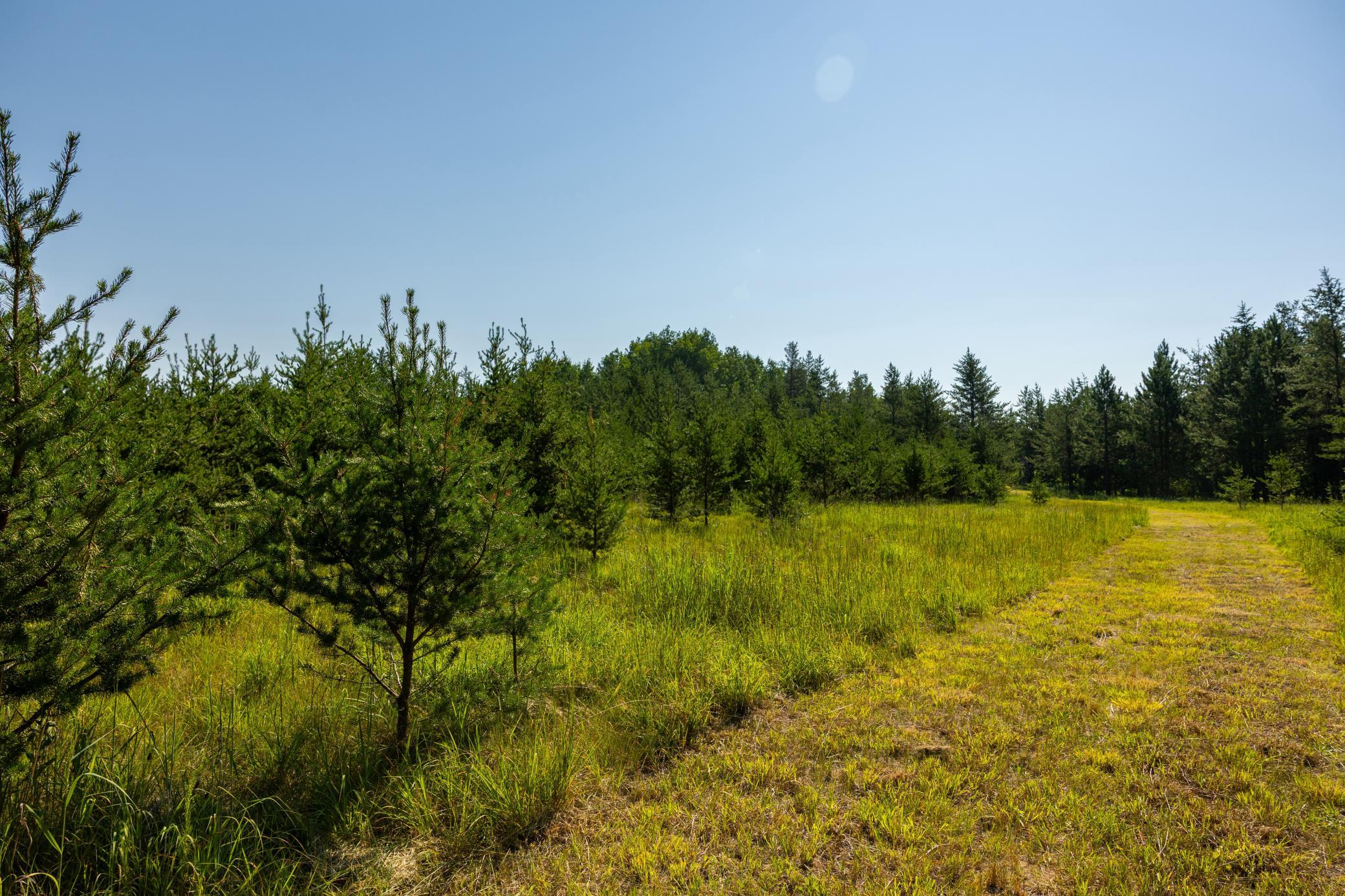 Tract 3 - TBD 259th Ave, Menahga MN 56464 - Photo 24 of 30