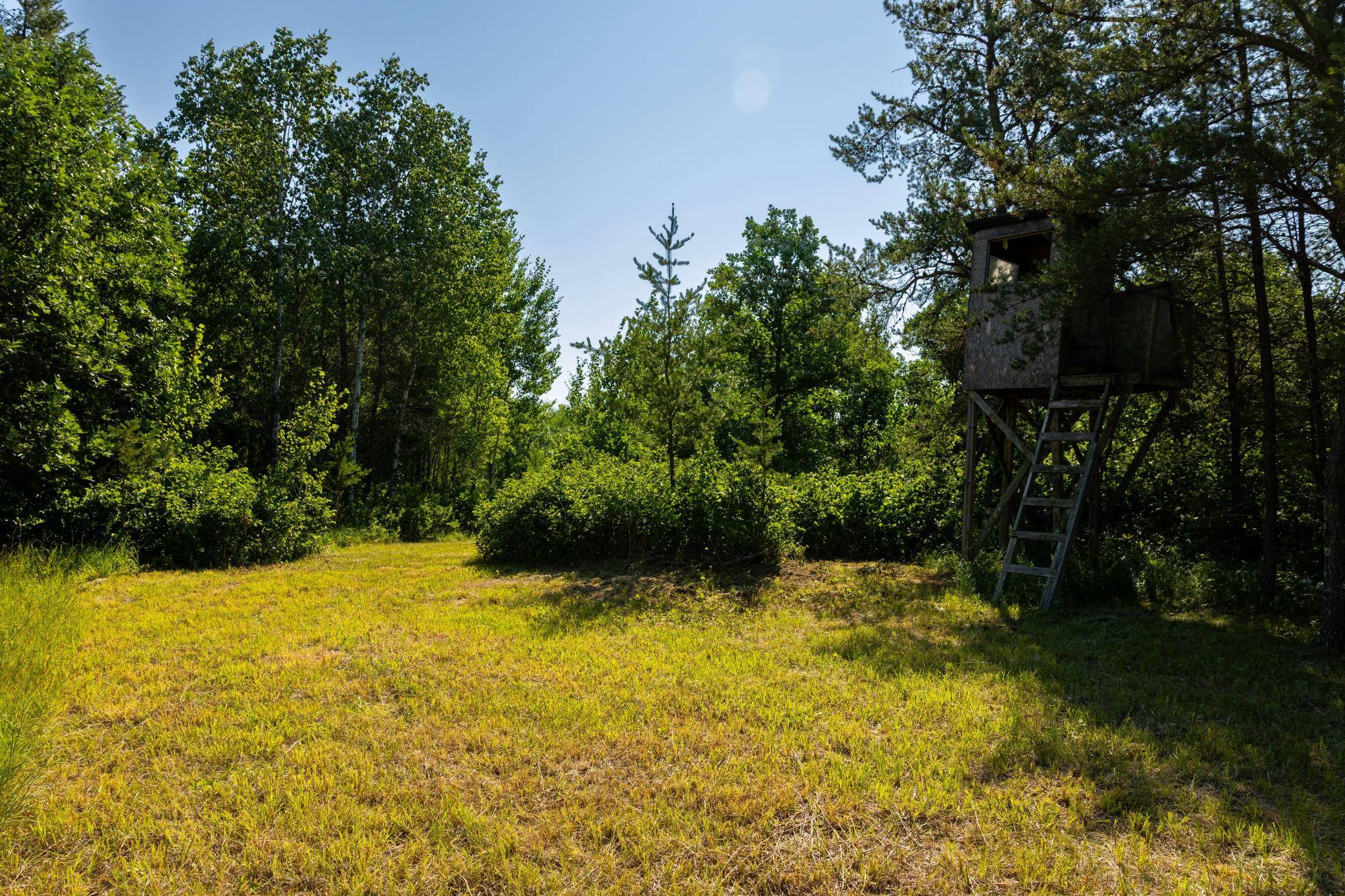 Tract 3 - TBD 259th Ave, Menahga MN 56464 - Photo 26 of 30