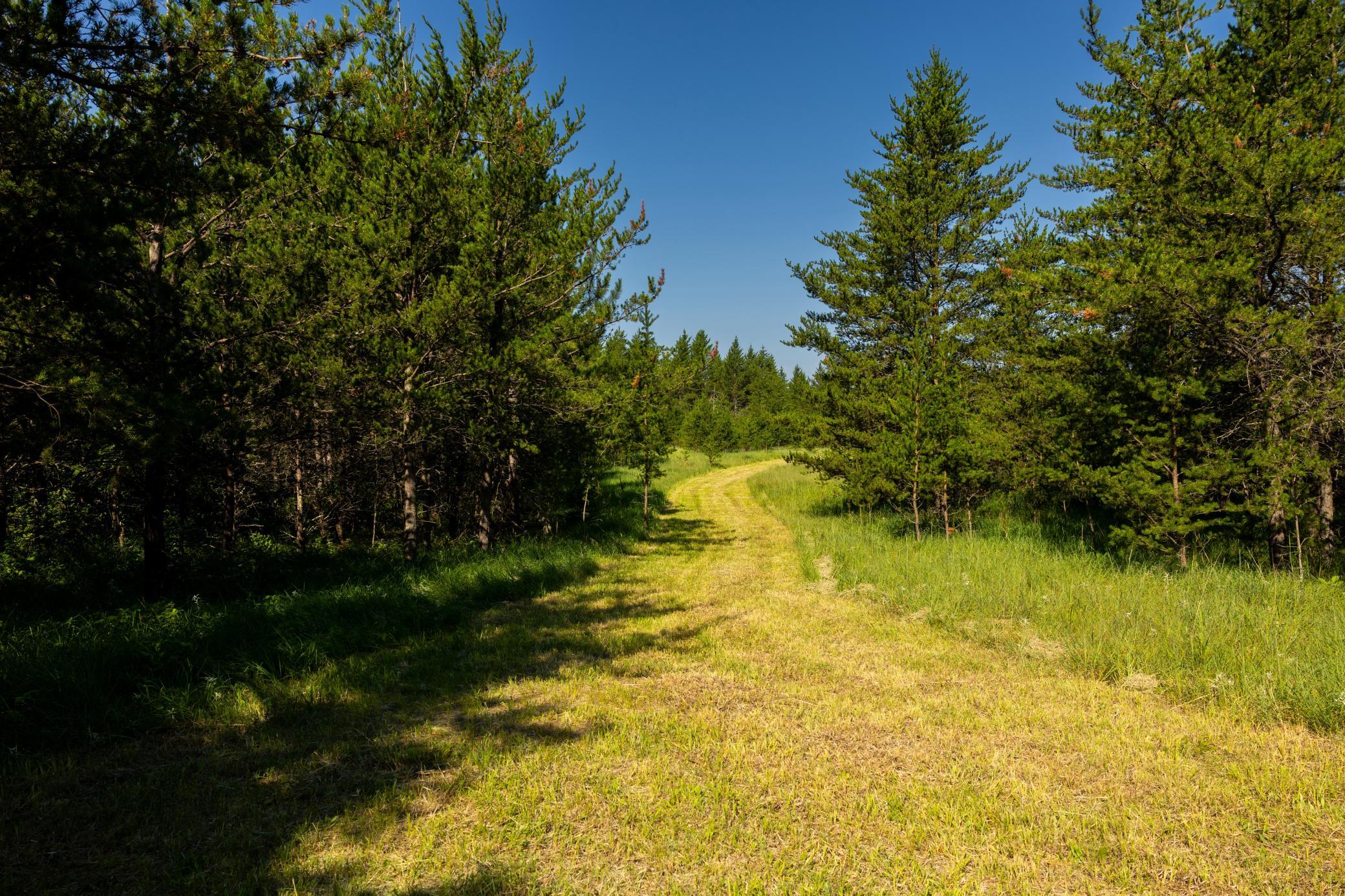 Tract 3 - TBD 259th Ave, Menahga MN 56464 - Photo 28 of 30