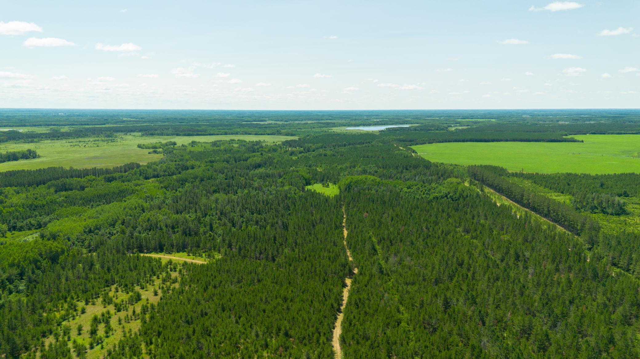 Tract 3 - TBD 259th Ave, Menahga MN 56464 - Photo 8 of 30