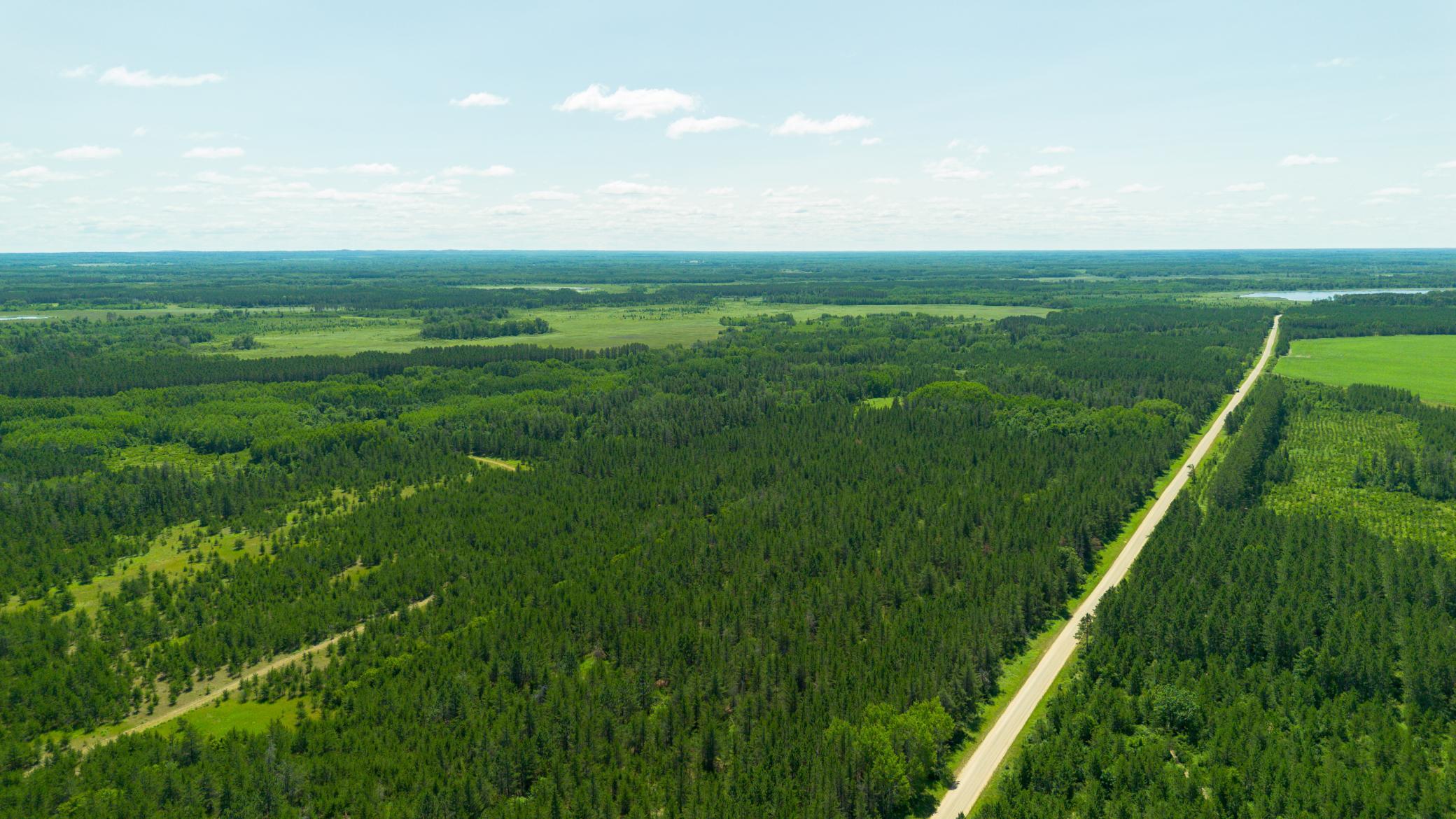 Tract 3 - TBD 259th Ave, Menahga MN 56464 - Photo 9 of 30