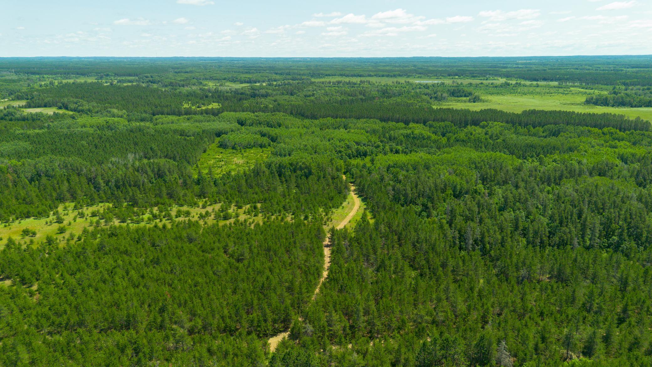 Tract 3 - TBD 259th Ave, Menahga MN 56464 - Photo 10 of 30