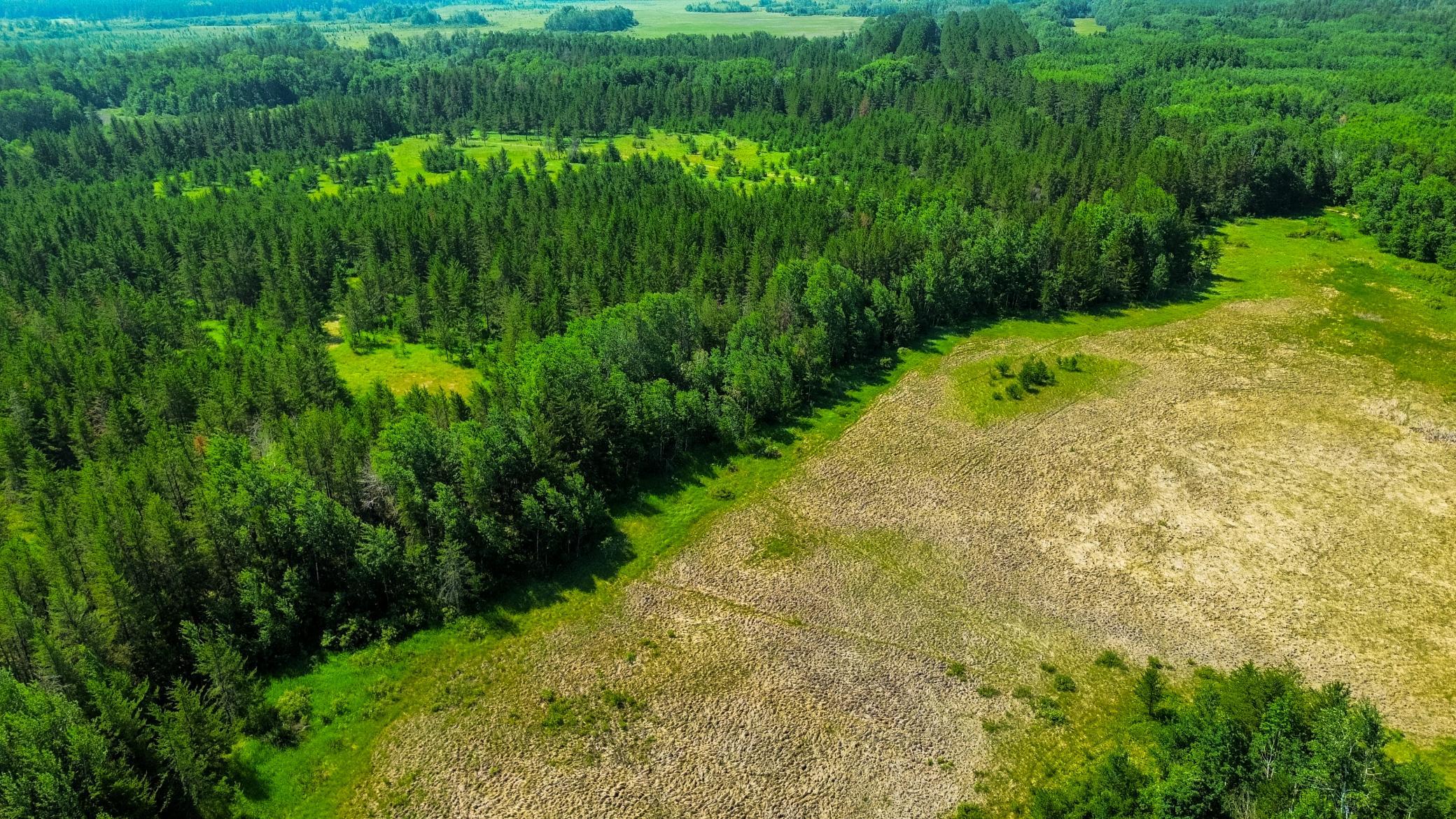 Tract 1 - TBD Hubbard Line Rd, Menahga MN 56464 - Photo 11 of 57