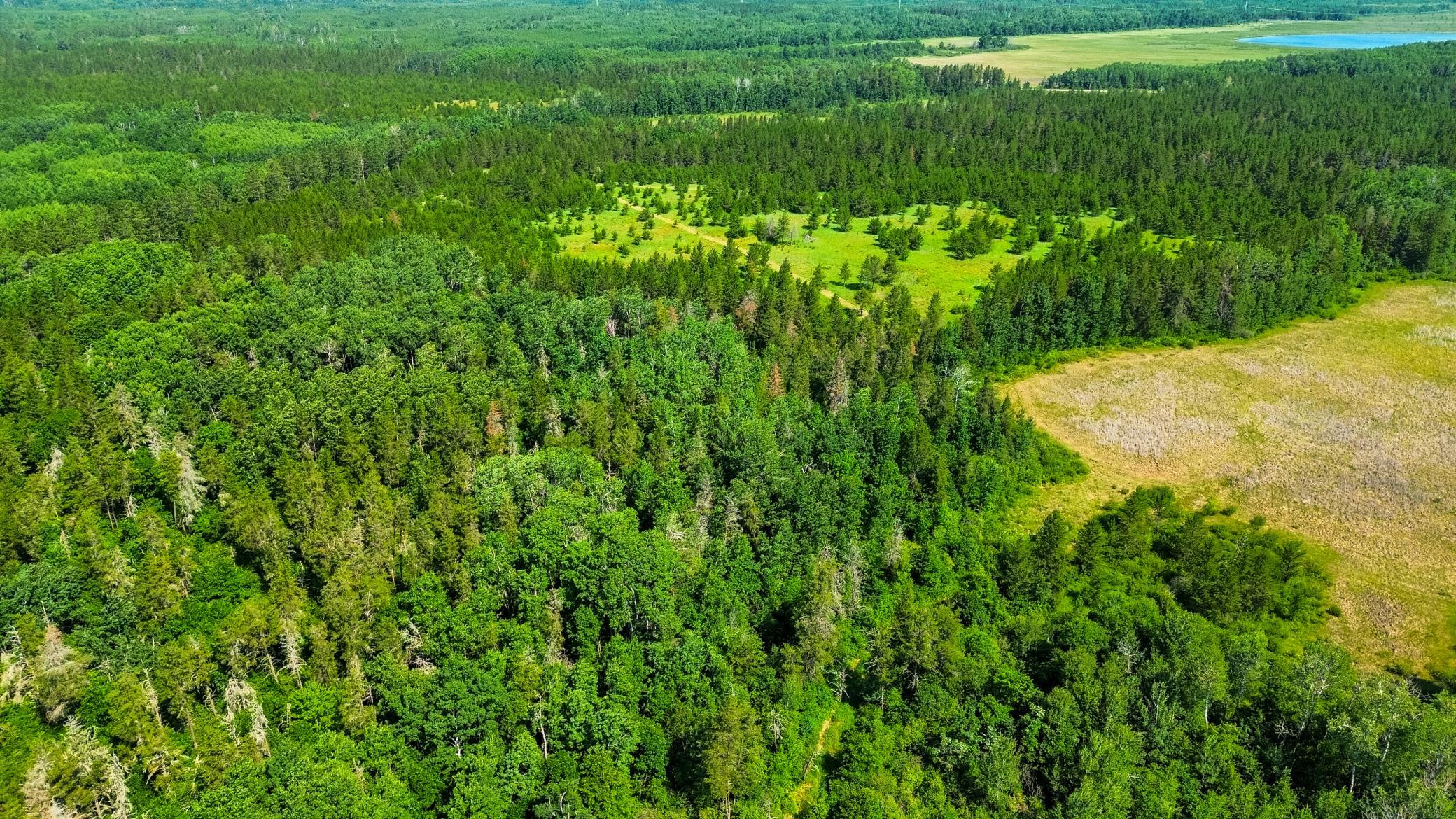 Tract 1 - TBD Hubbard Line Rd, Menahga MN 56464 - Photo 14 of 57