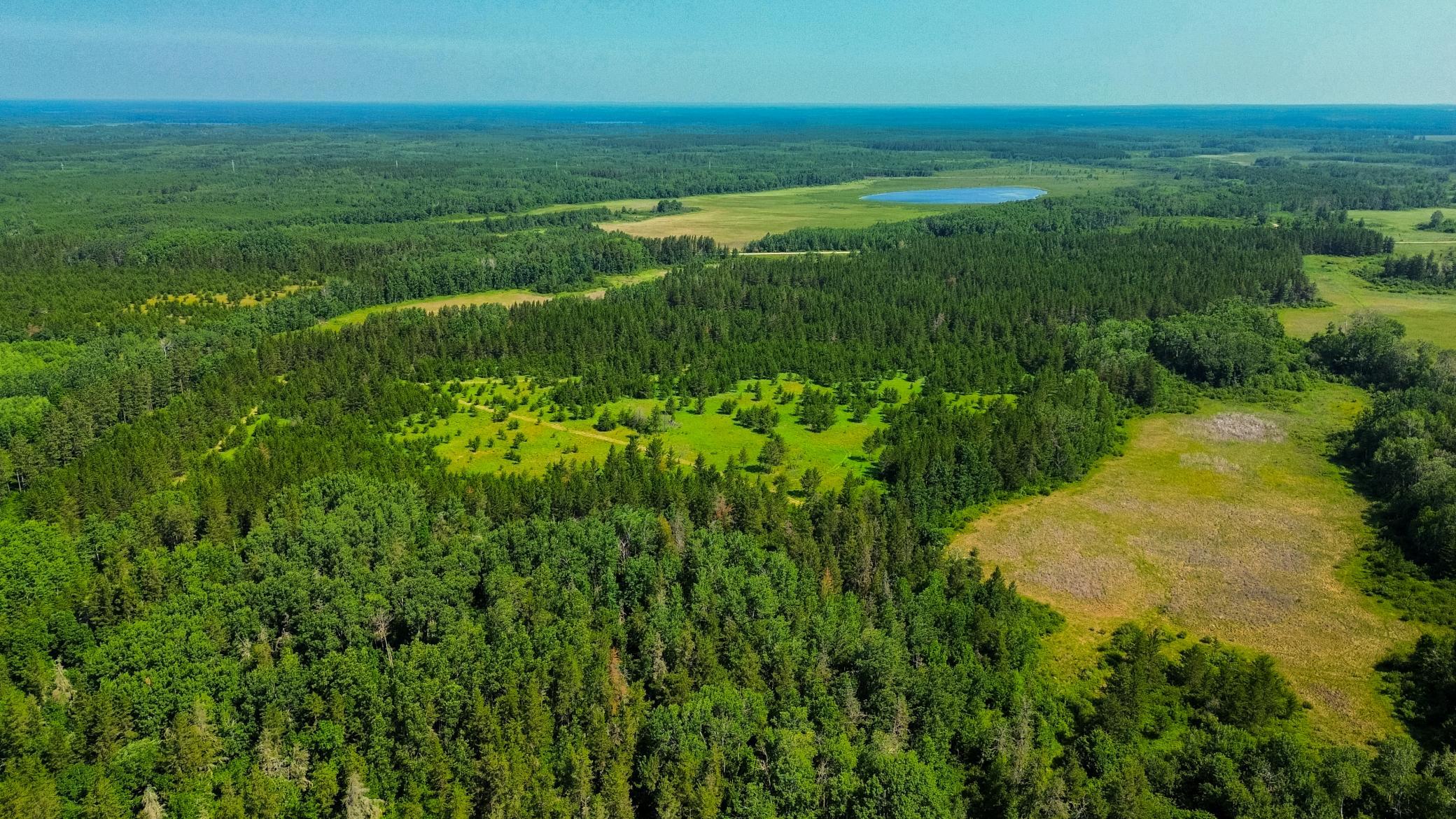Tract 1 - TBD Hubbard Line Rd, Menahga MN 56464 - Photo 15 of 57