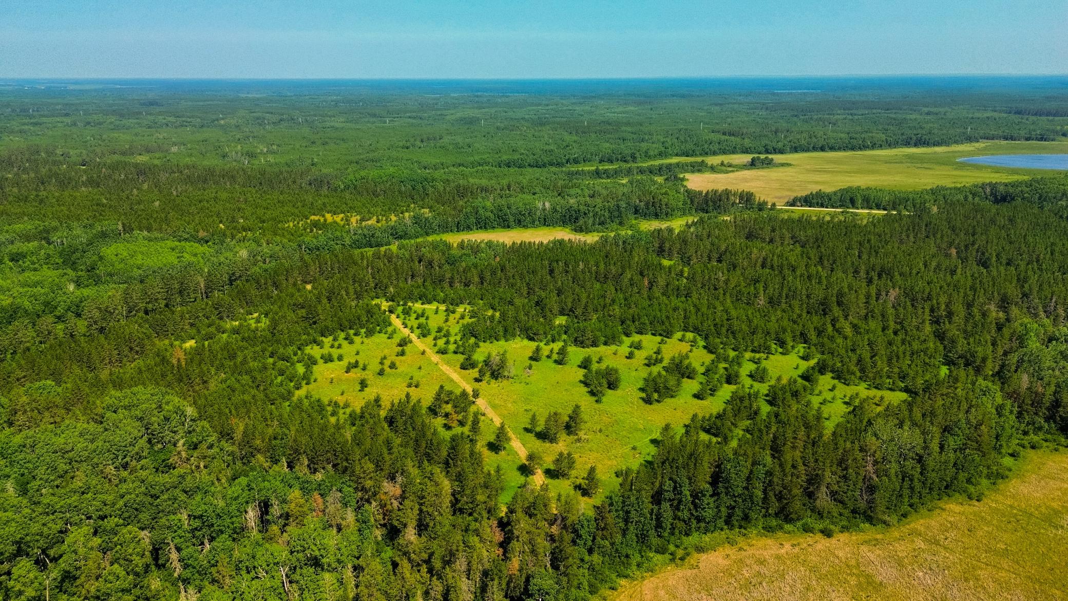 Tract 1 - TBD Hubbard Line Rd, Menahga MN 56464 - Photo 16 of 57