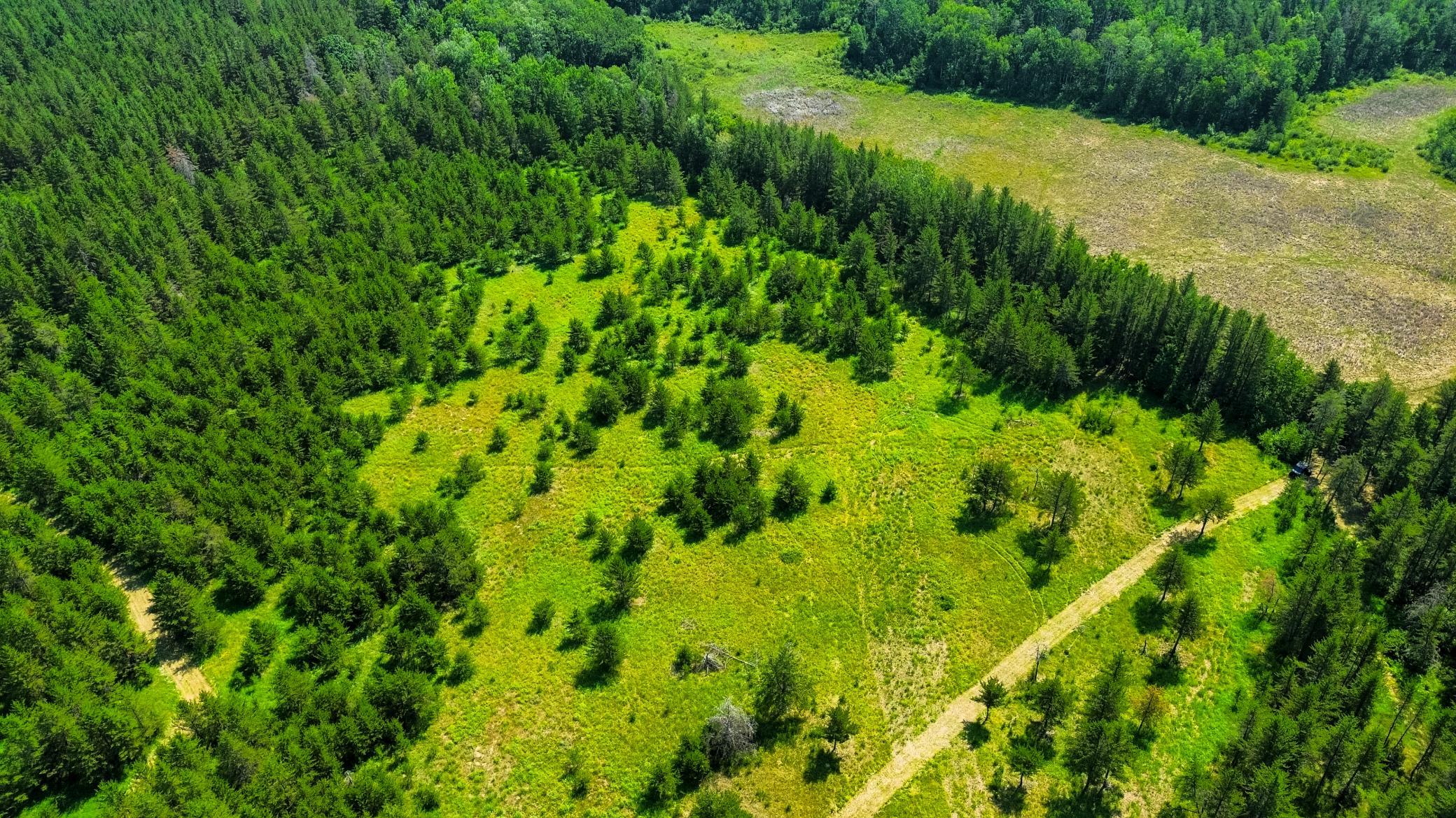 Tract 1 - TBD Hubbard Line Rd, Menahga MN 56464 - Photo 18 of 57