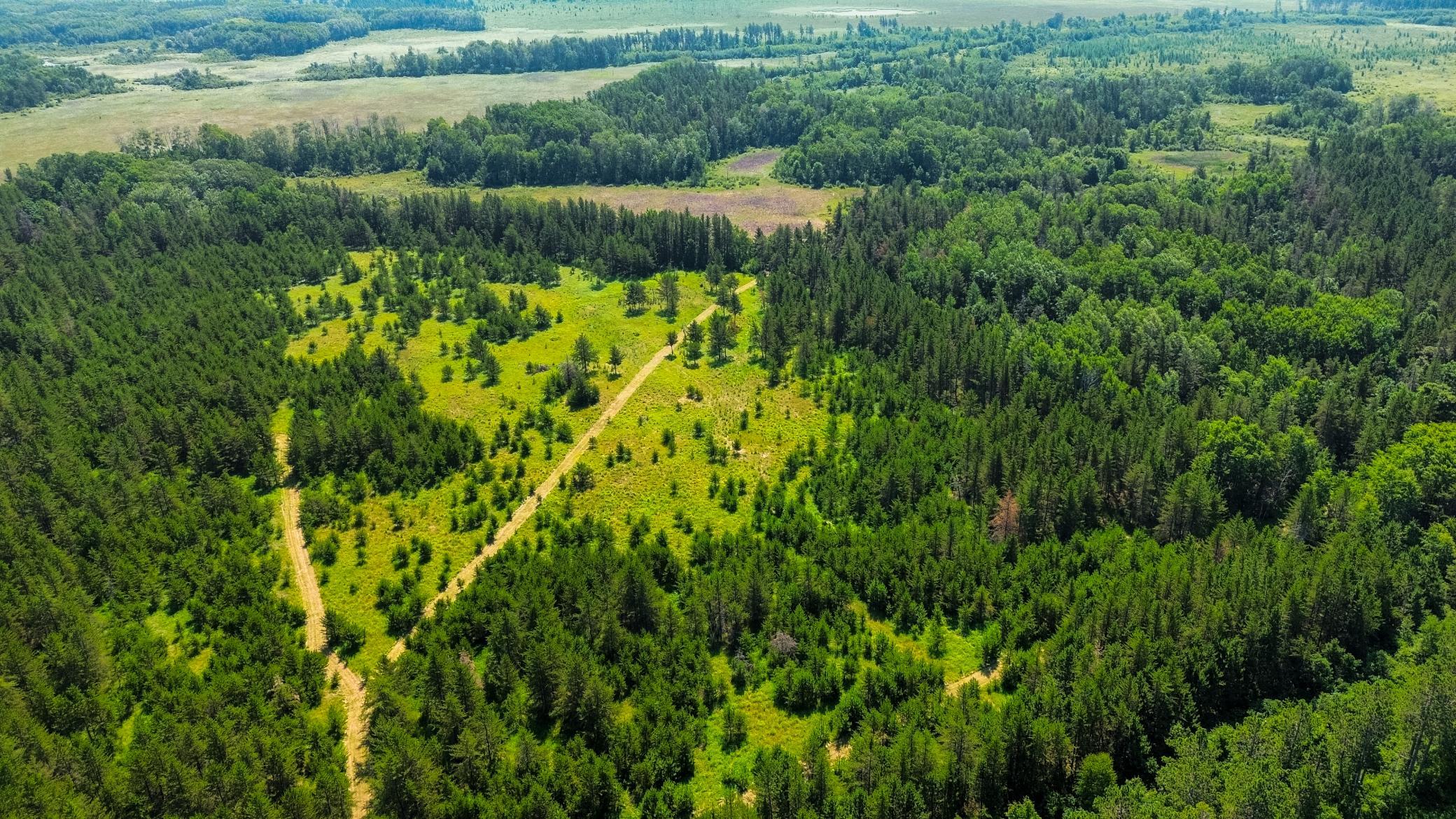 Tract 1 - TBD Hubbard Line Rd, Menahga MN 56464 - Photo 21 of 57