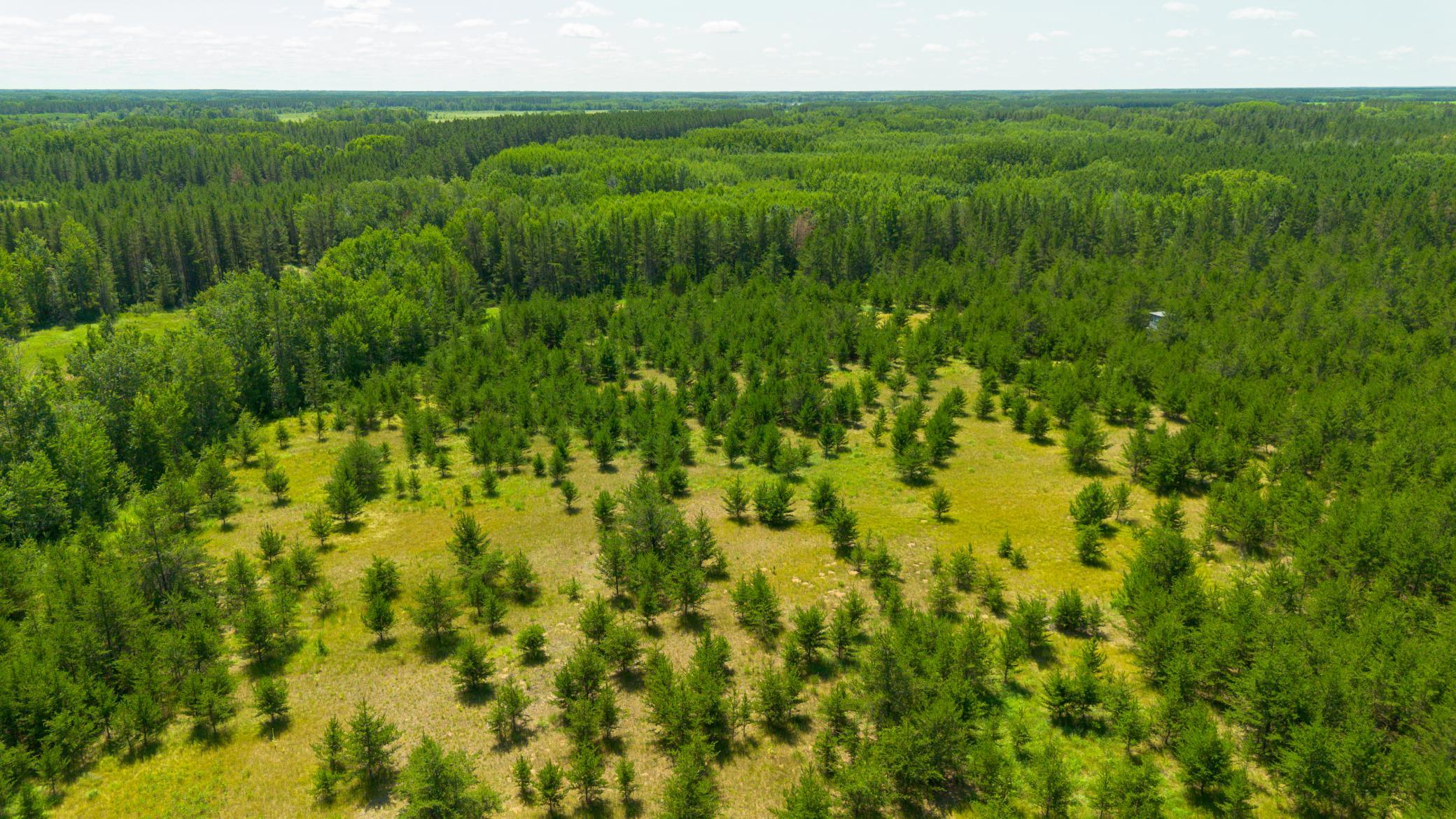 Tract 1 - TBD Hubbard Line Rd, Menahga MN 56464 - Photo 23 of 57
