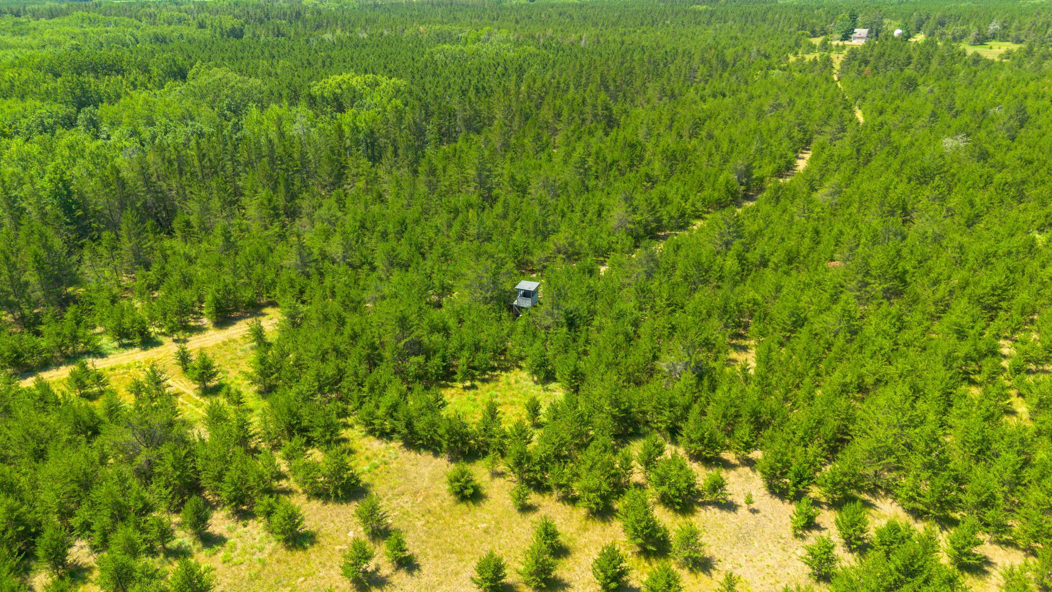 Tract 1 - TBD Hubbard Line Rd, Menahga MN 56464 - Photo 24 of 57